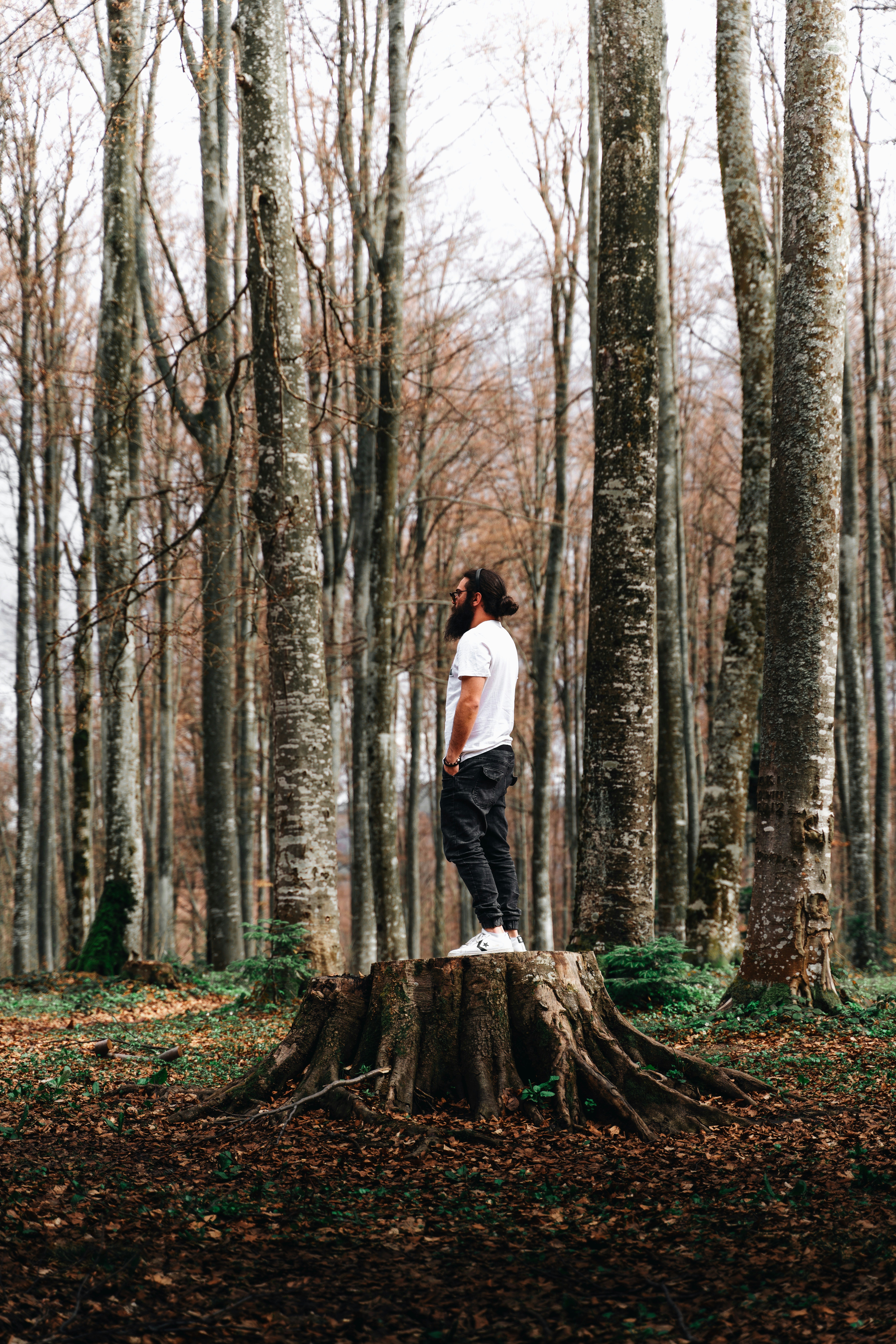 Photo by djordjevukojicic