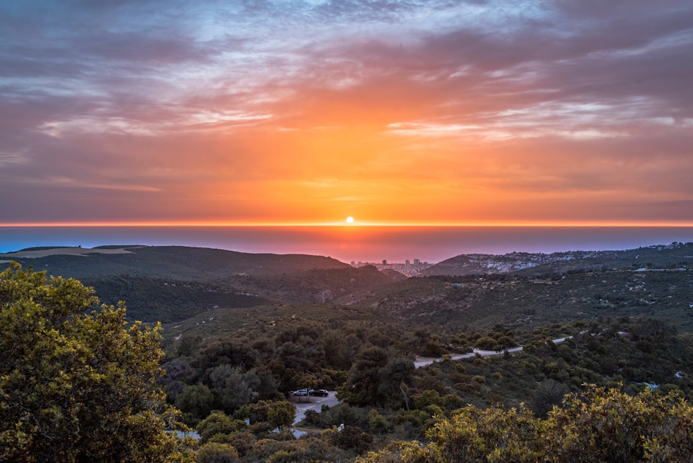 a landscape with trees and a sunset