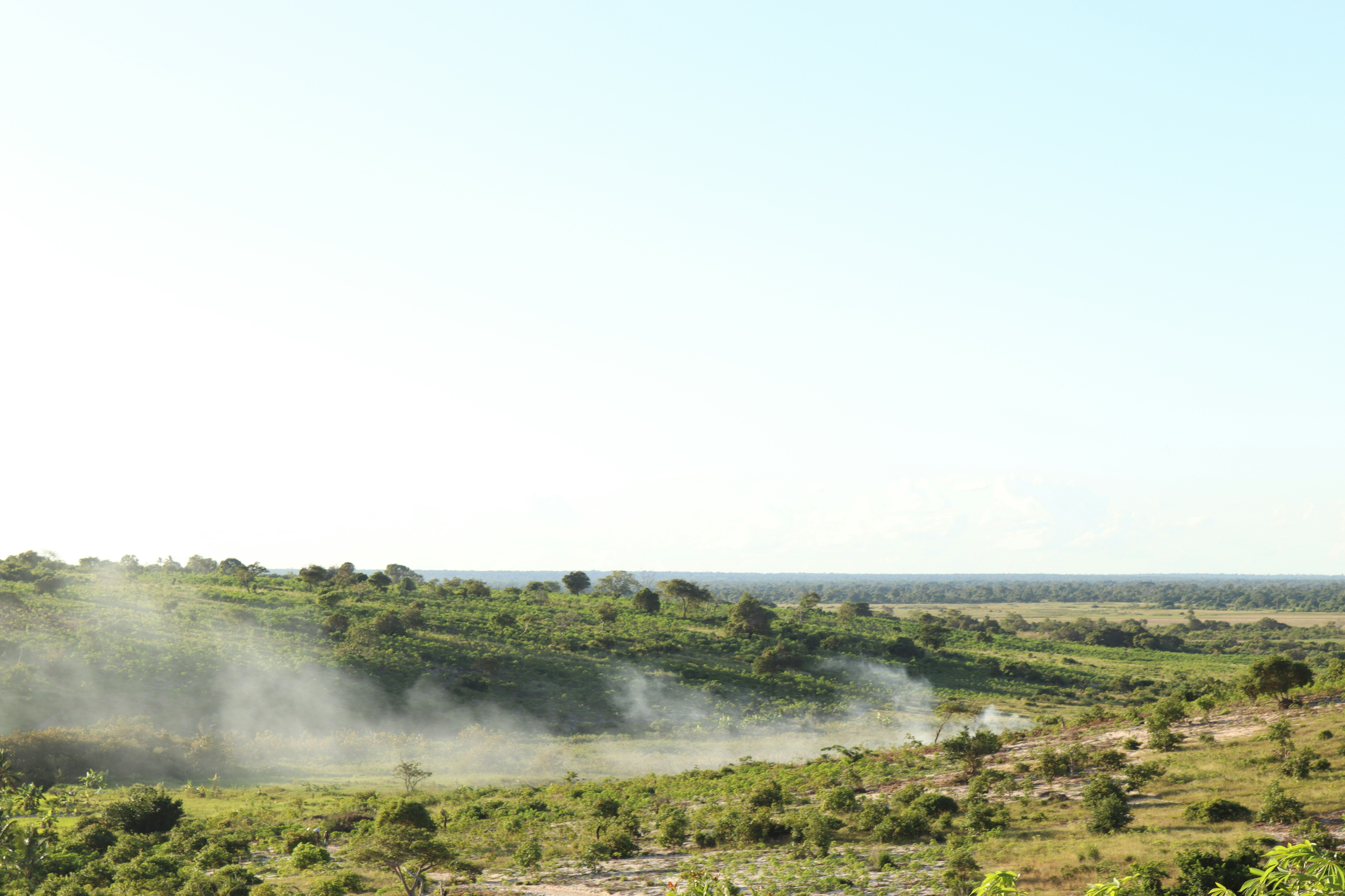 Photo by guerzeneldo