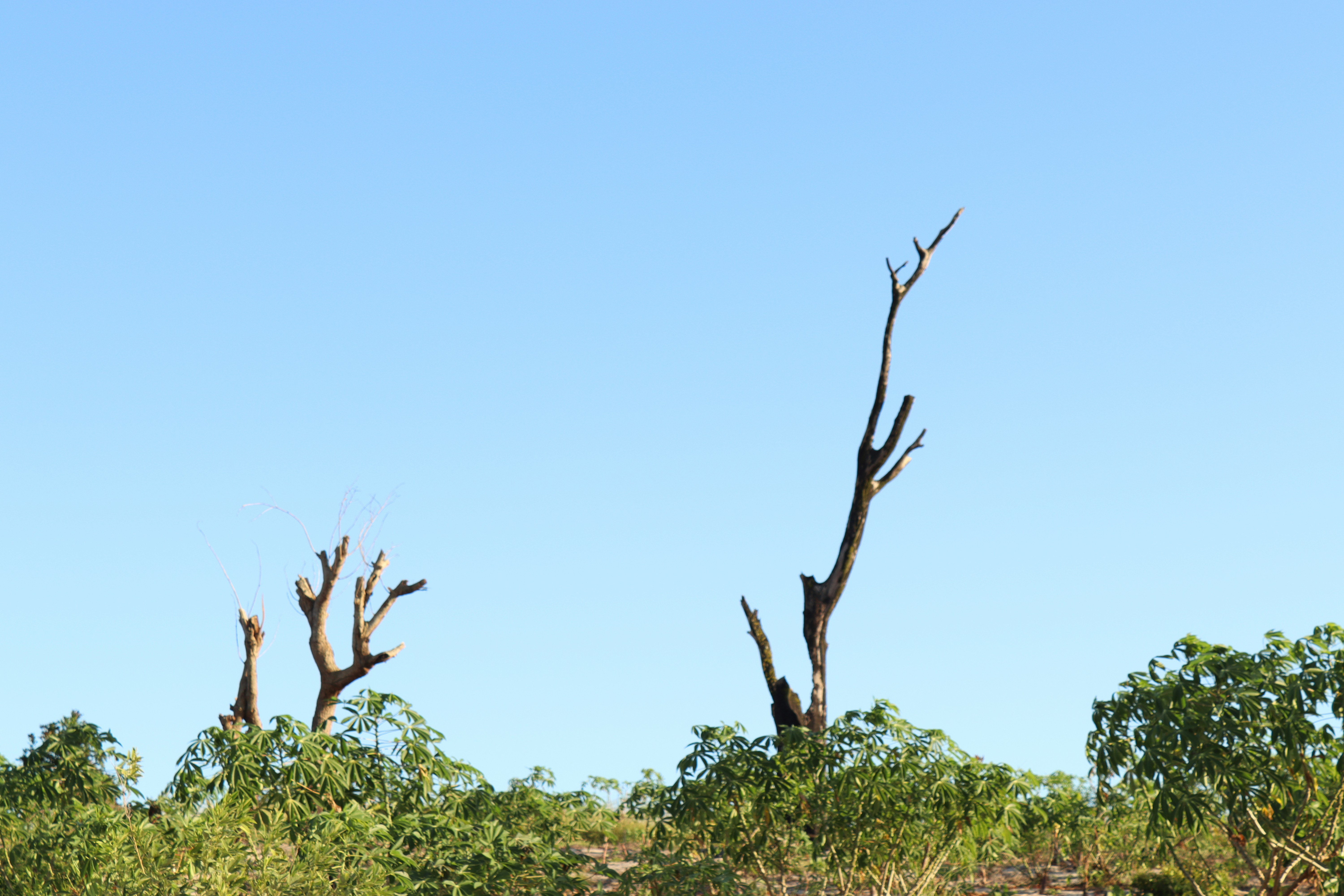 Photo by guerzeneldo