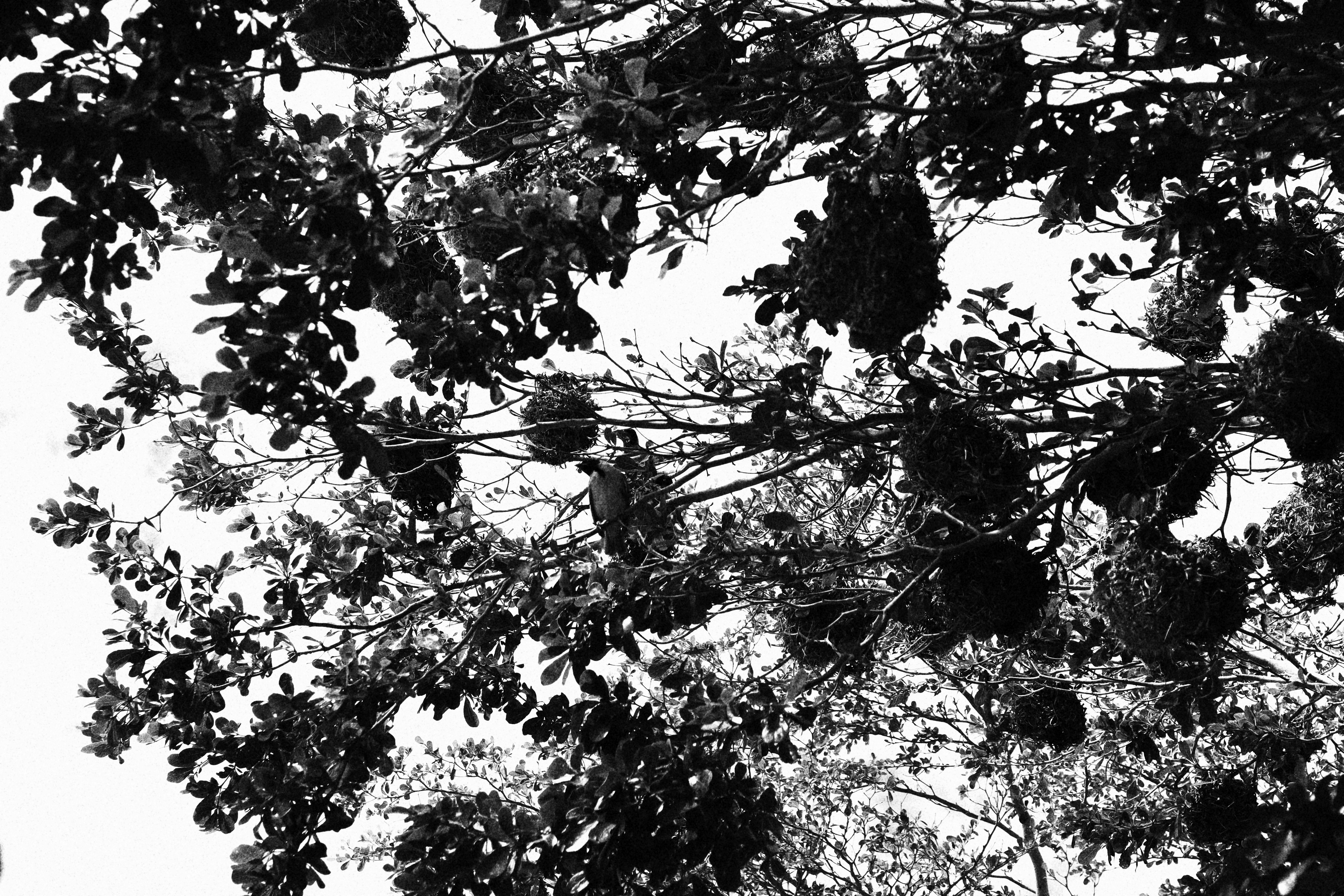 Photo by guerzeneldo