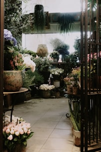 A cozy, indoor flower shop filled with a variety of potted plants and flowers. The space is densely arranged with large pots on the floor and tables, hosting lush green foliage and colorful blossoms. Soft, natural light streams in, creating a serene atmosphere. The walls are adorned with hanging plants, and the floor tiles lend a rustic charm.