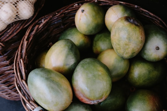 A basket overflowing with ripe mangoes, tomatoes, and fresh green chilies under warm sunlight.