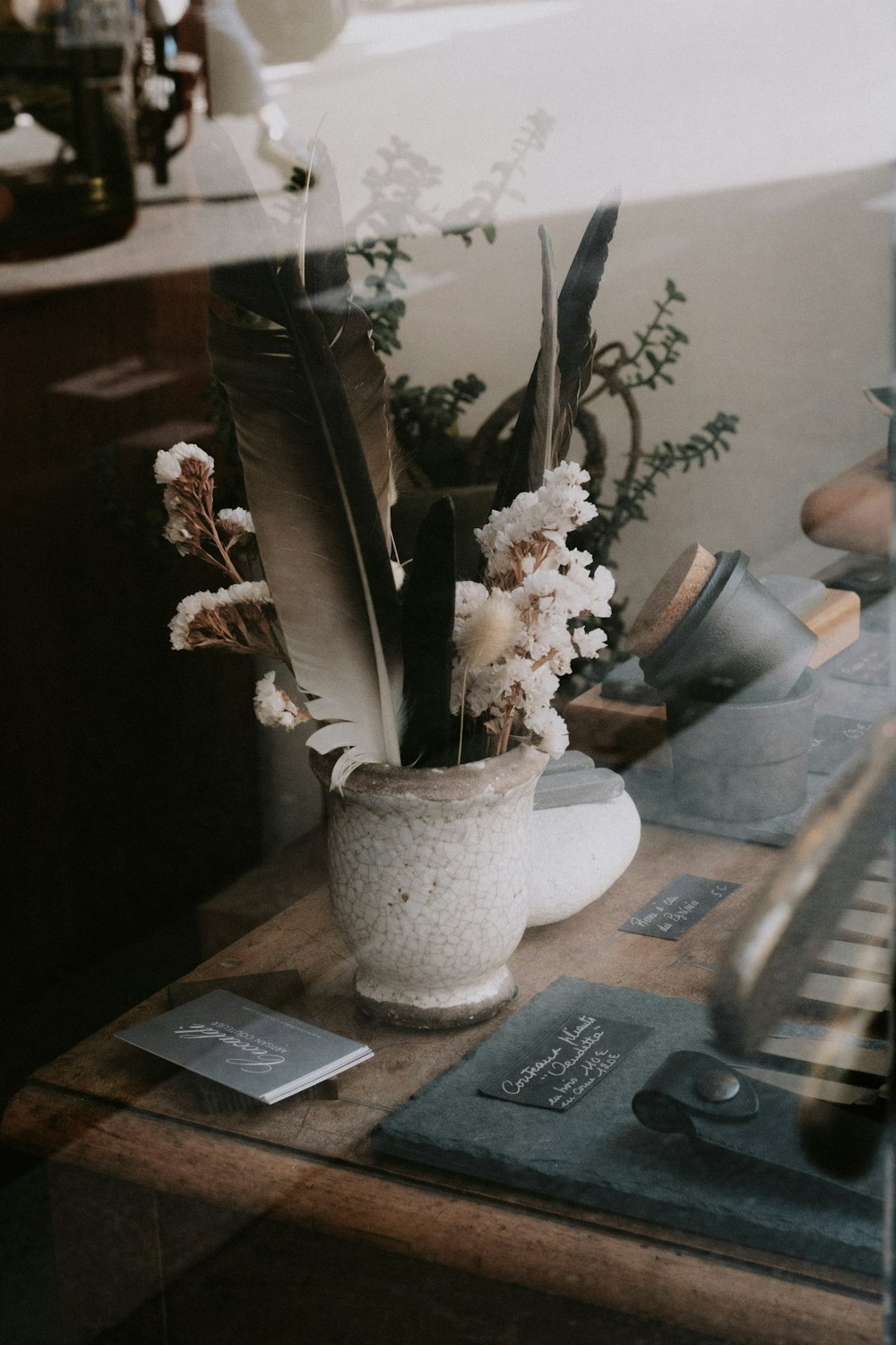 a potted plant on a table