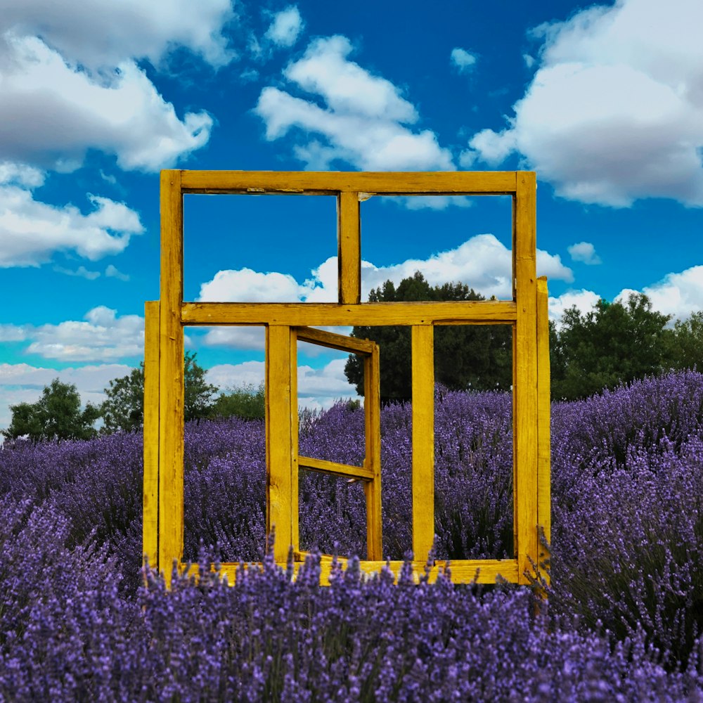 a frame in a field of purple flowers