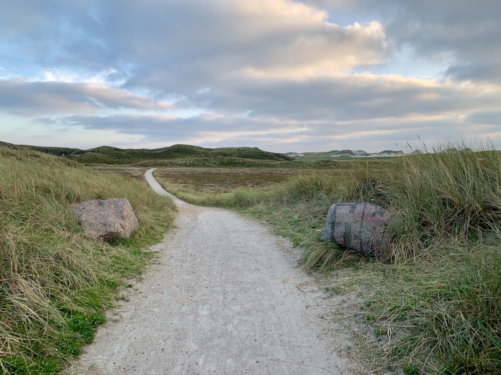 a dirt road with rocks on the side and grass on the side