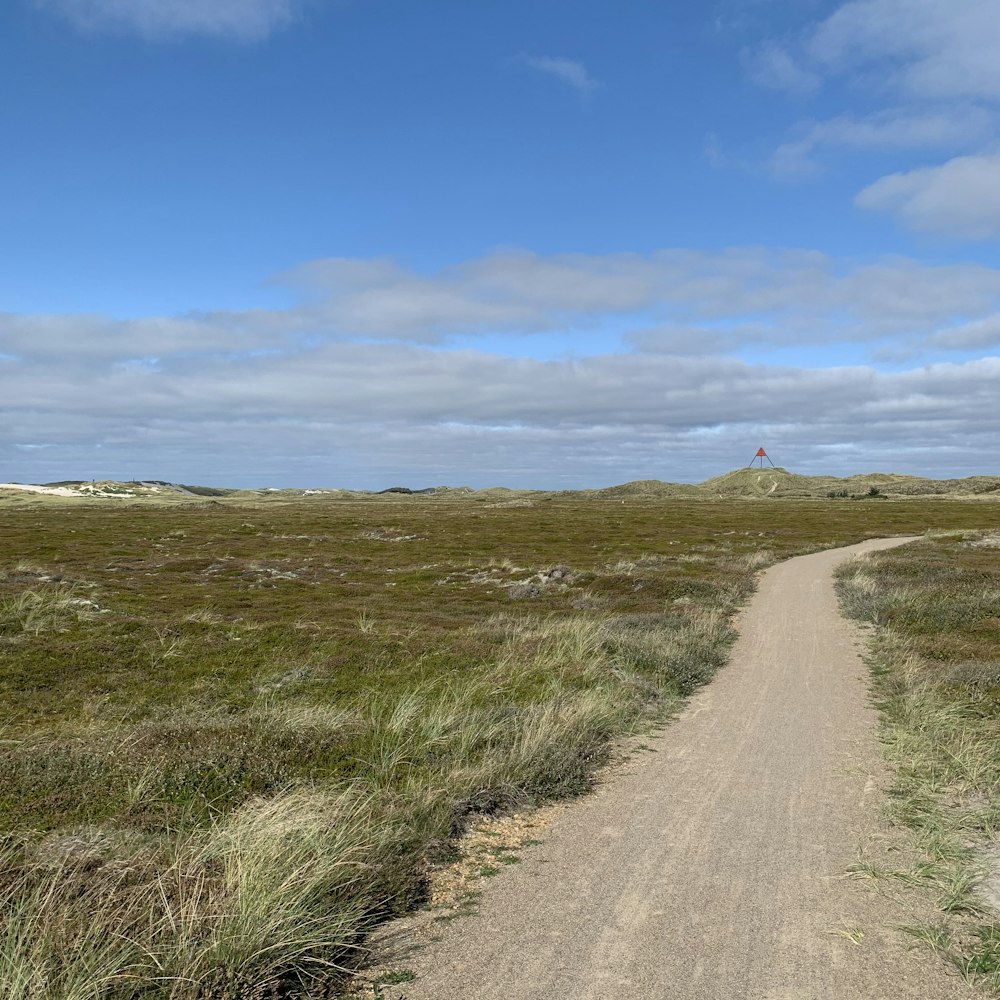 a dirt road in a grassy area