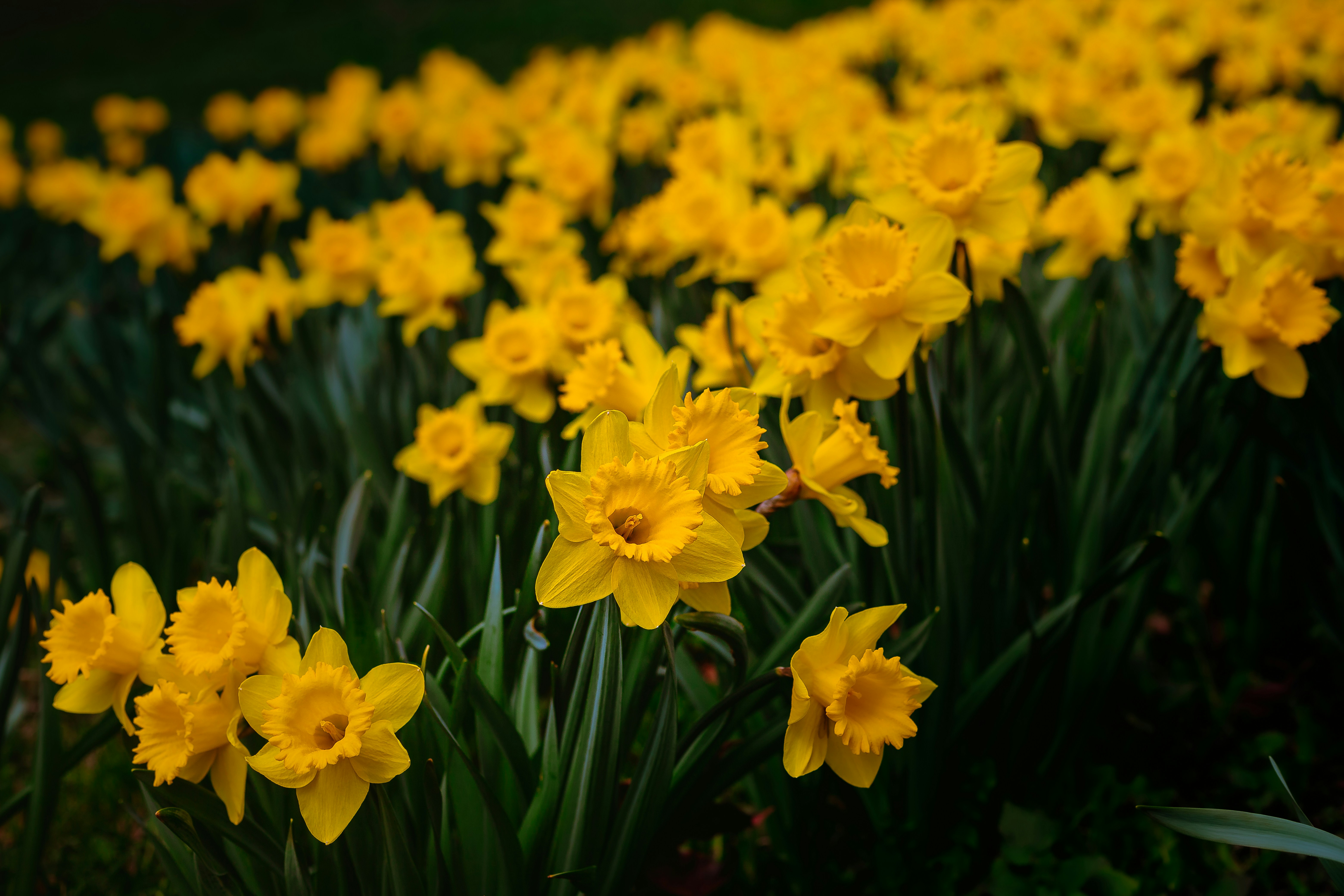 Photo by _staticvoid