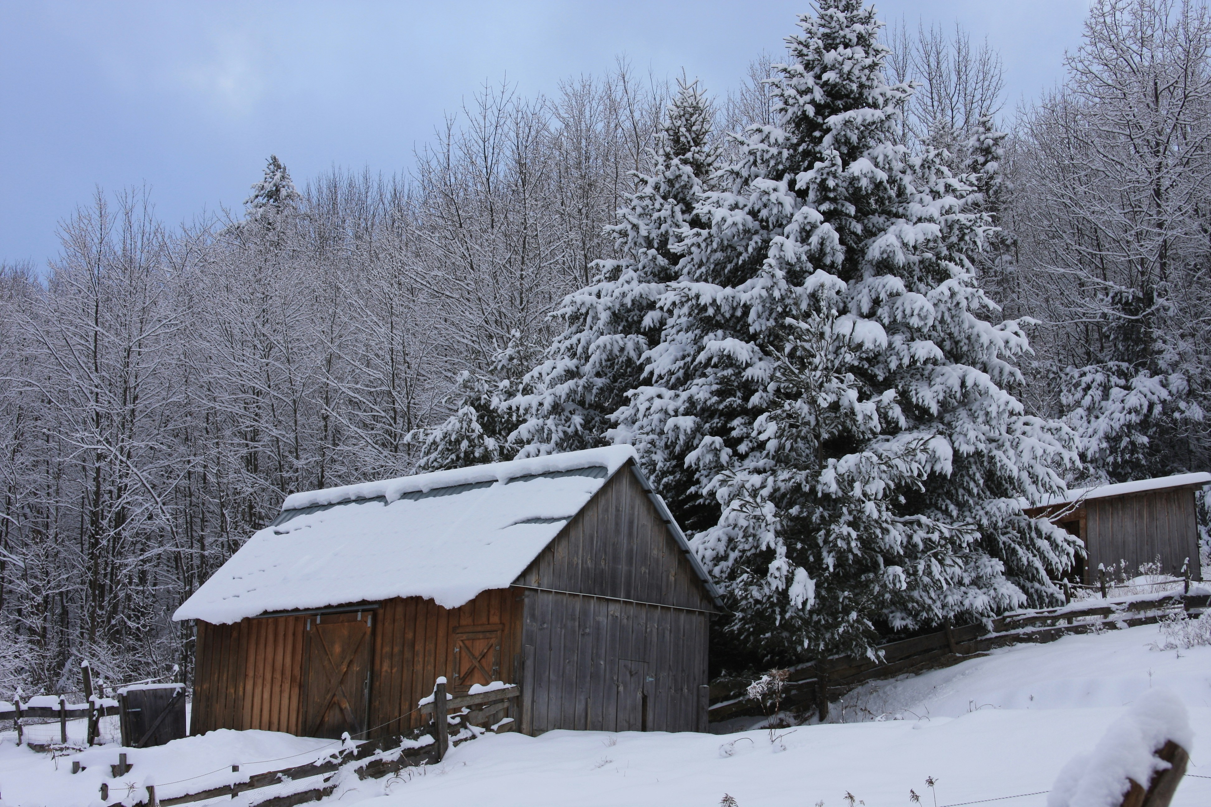 a small cabin in the snow