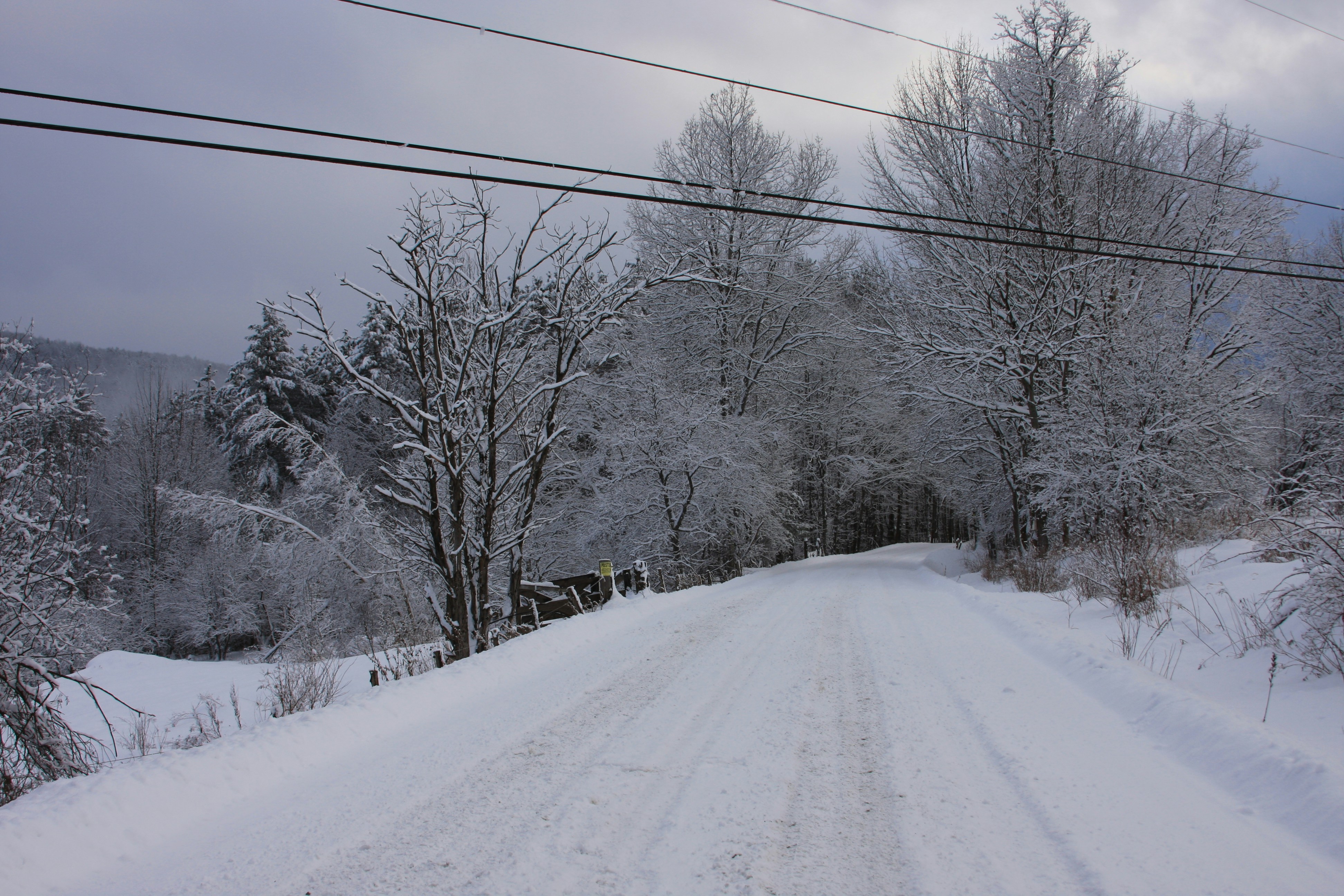 Photo by photocage23