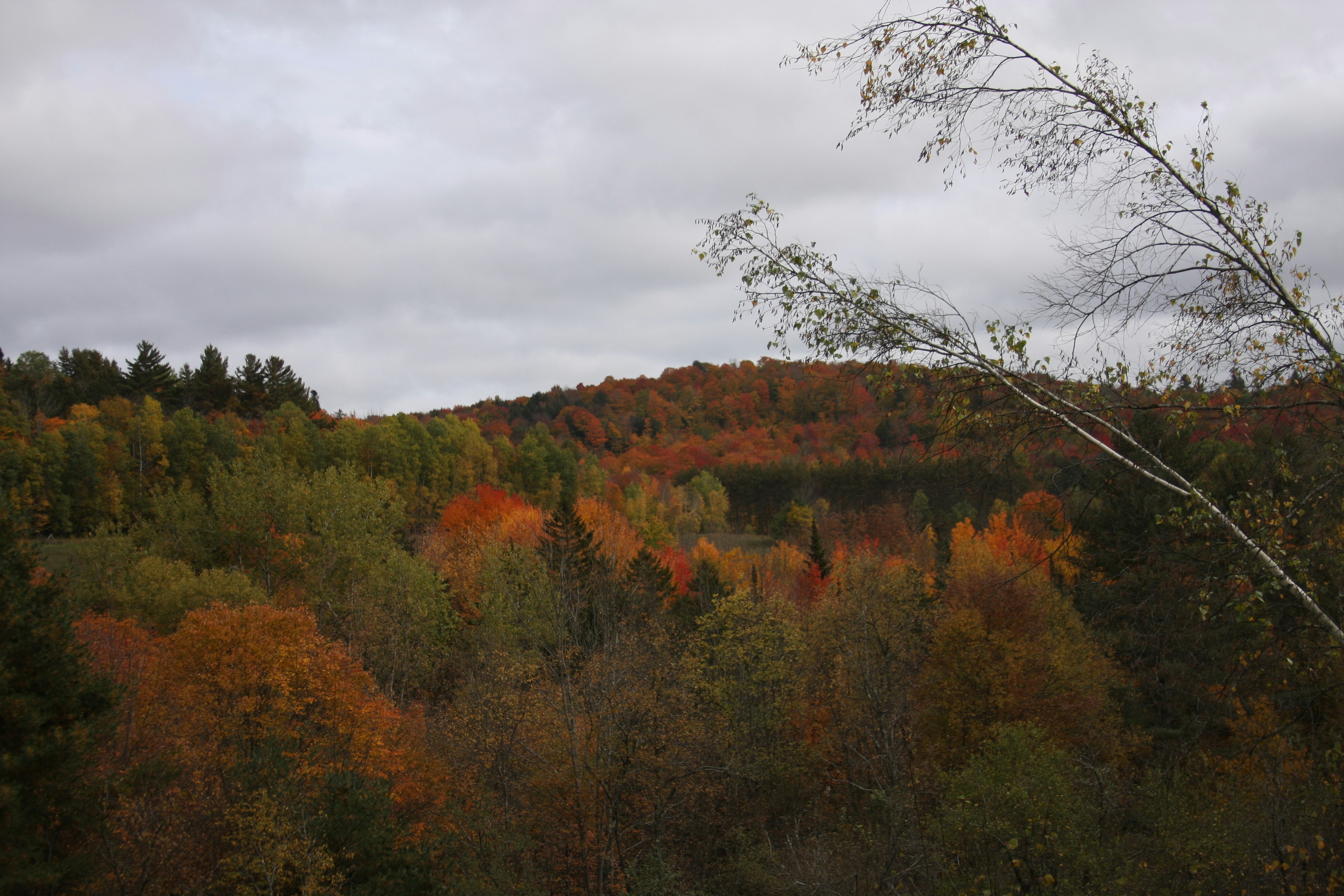 Photo by photocage23