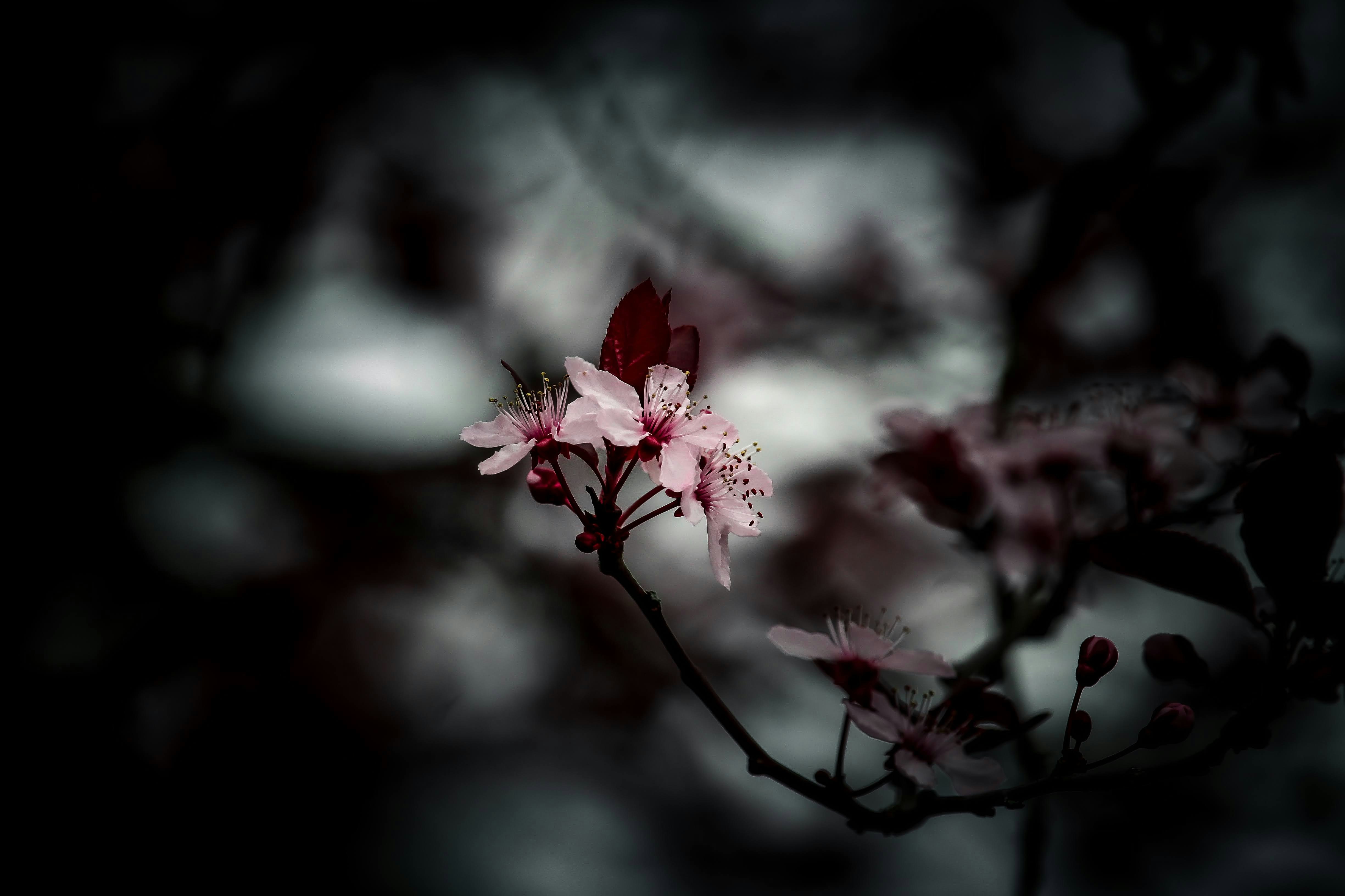 Photo by unmadesai