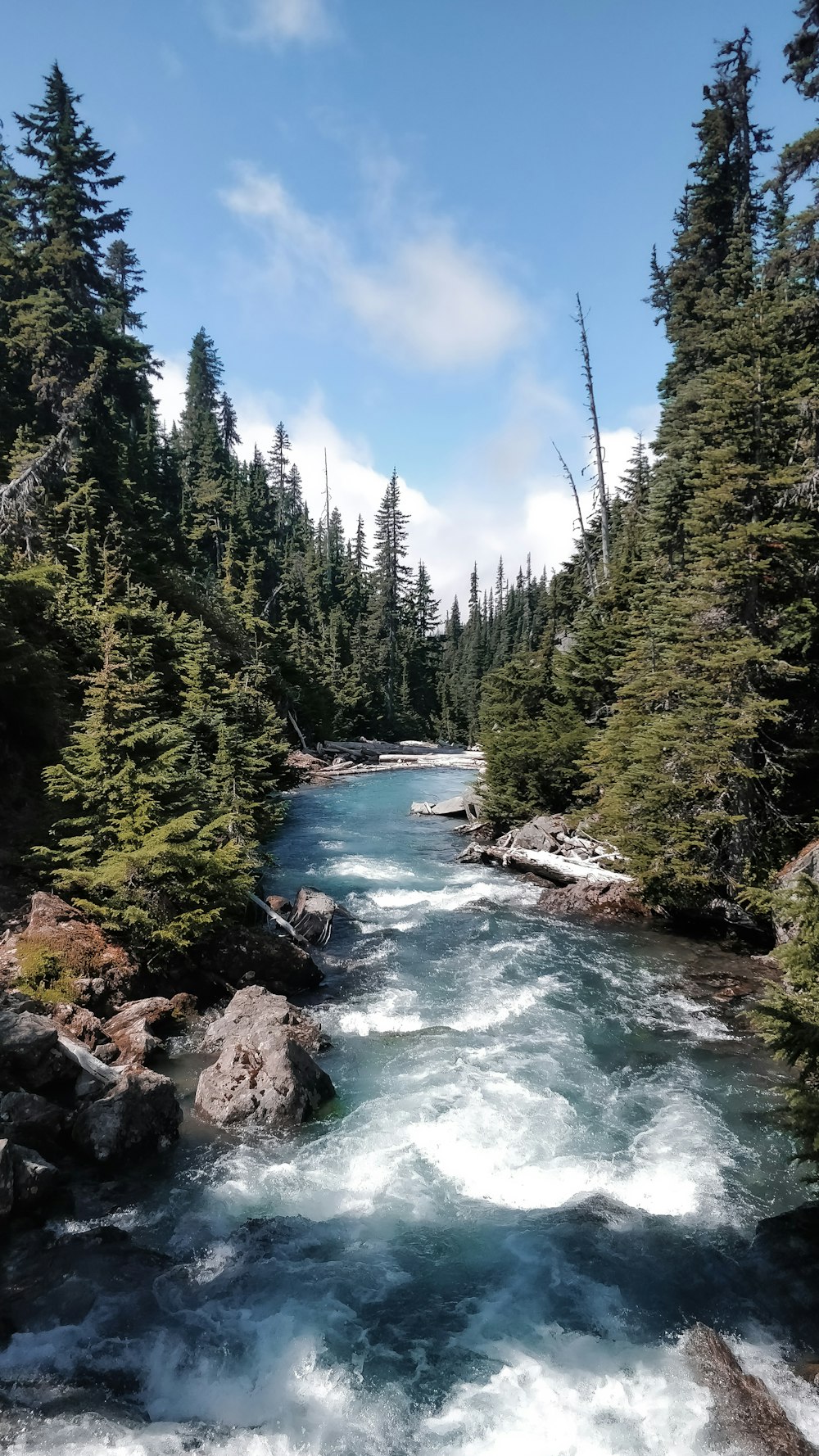 a river with rocks and trees