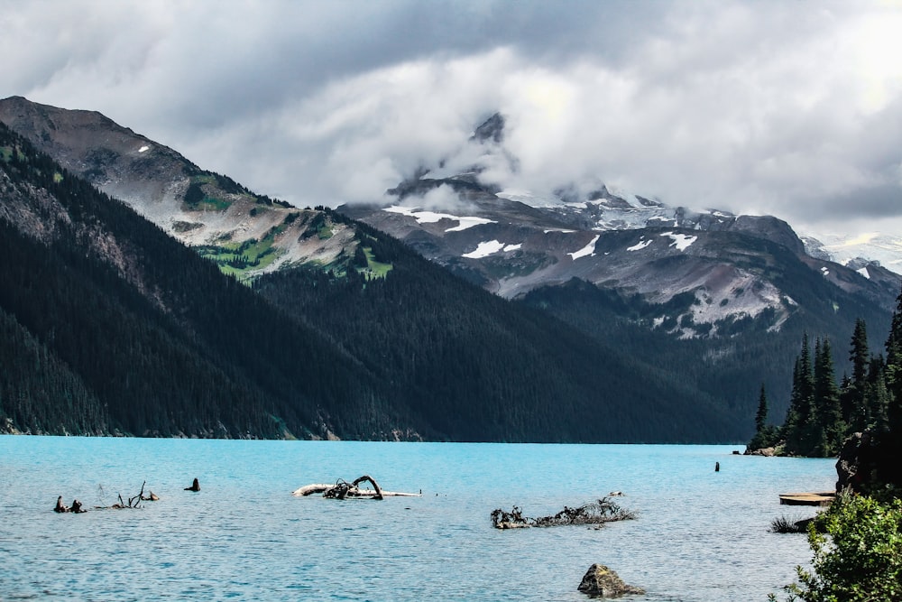 a group of people swimming in a lake with mountains in the background