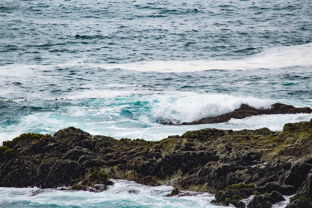 vagues s’écrasant sur les rochers