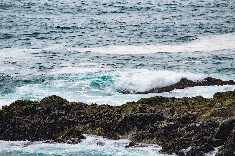 waves crashing on rocks