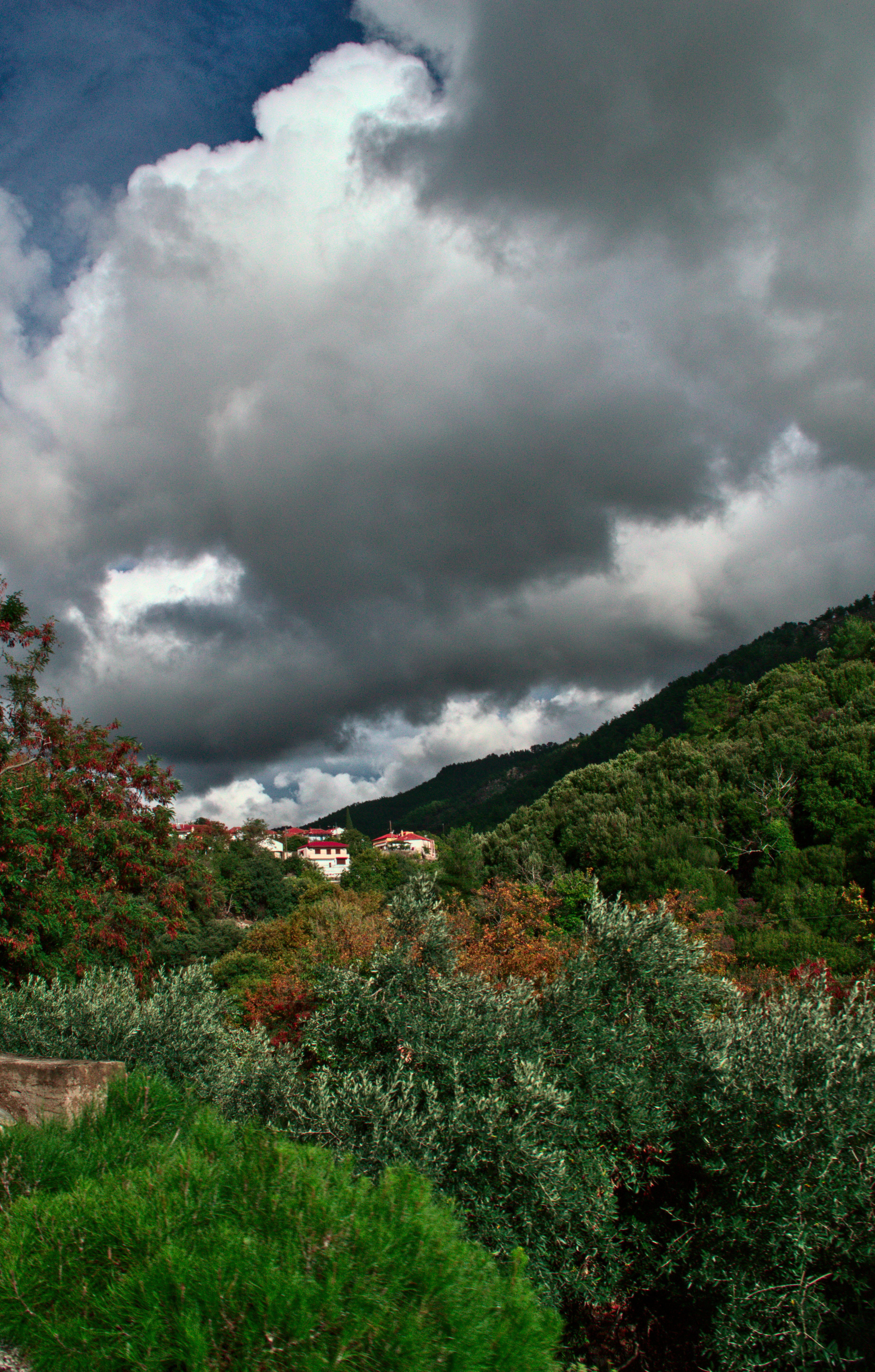 free-thassos-maries-image-on-unsplash