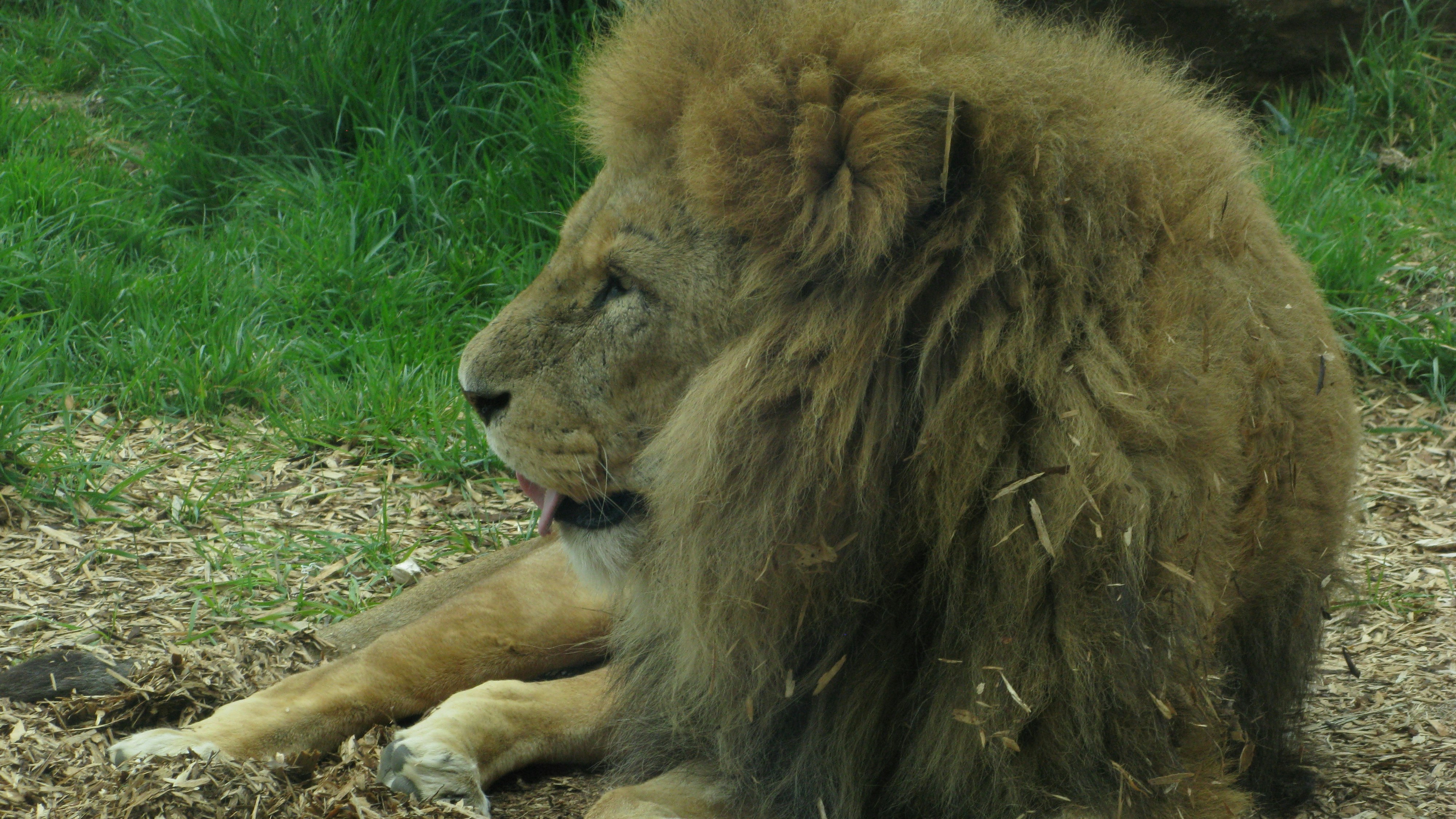 Photo by tom_smeeton