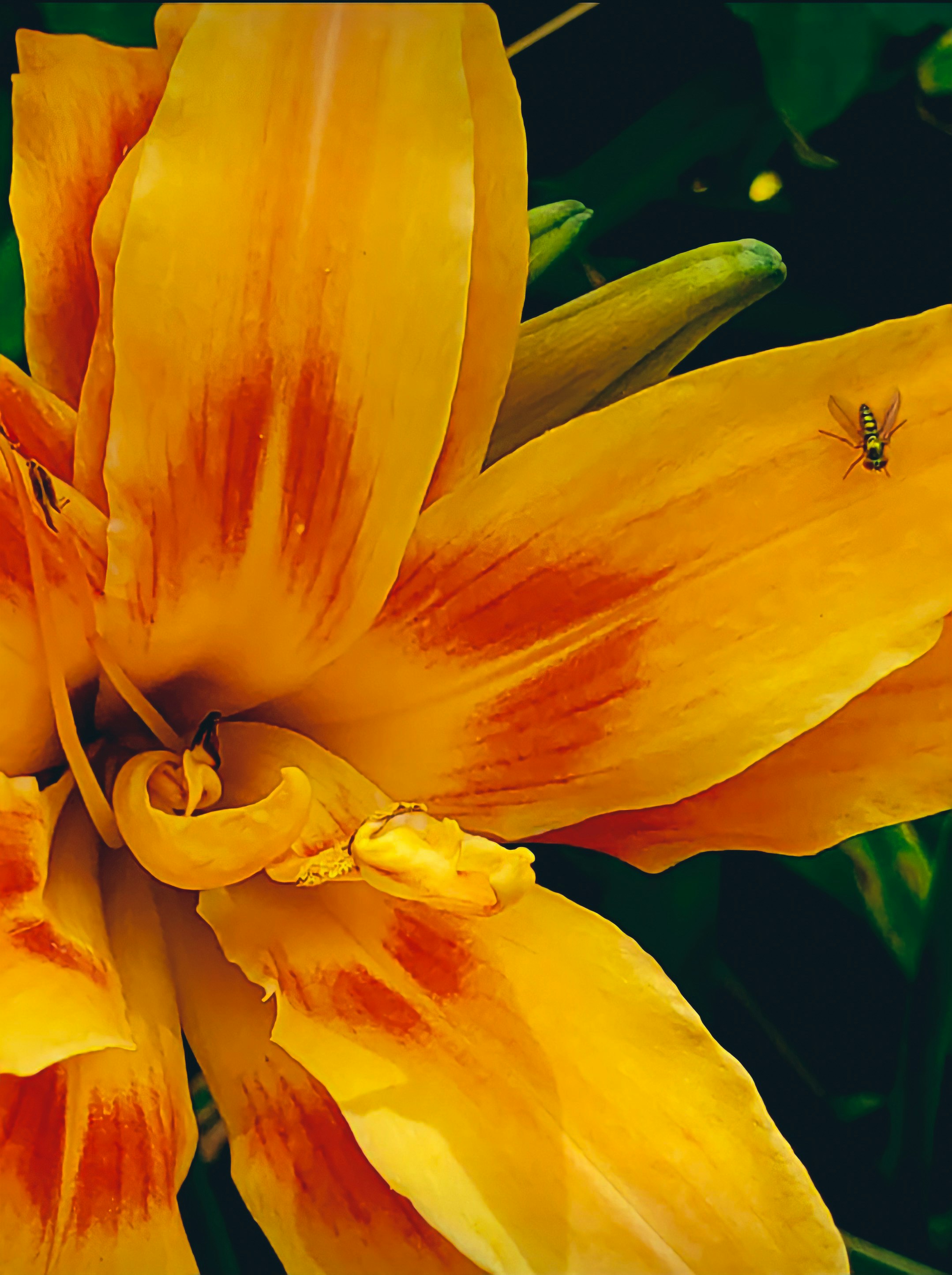 Photo by ashlynnephotos