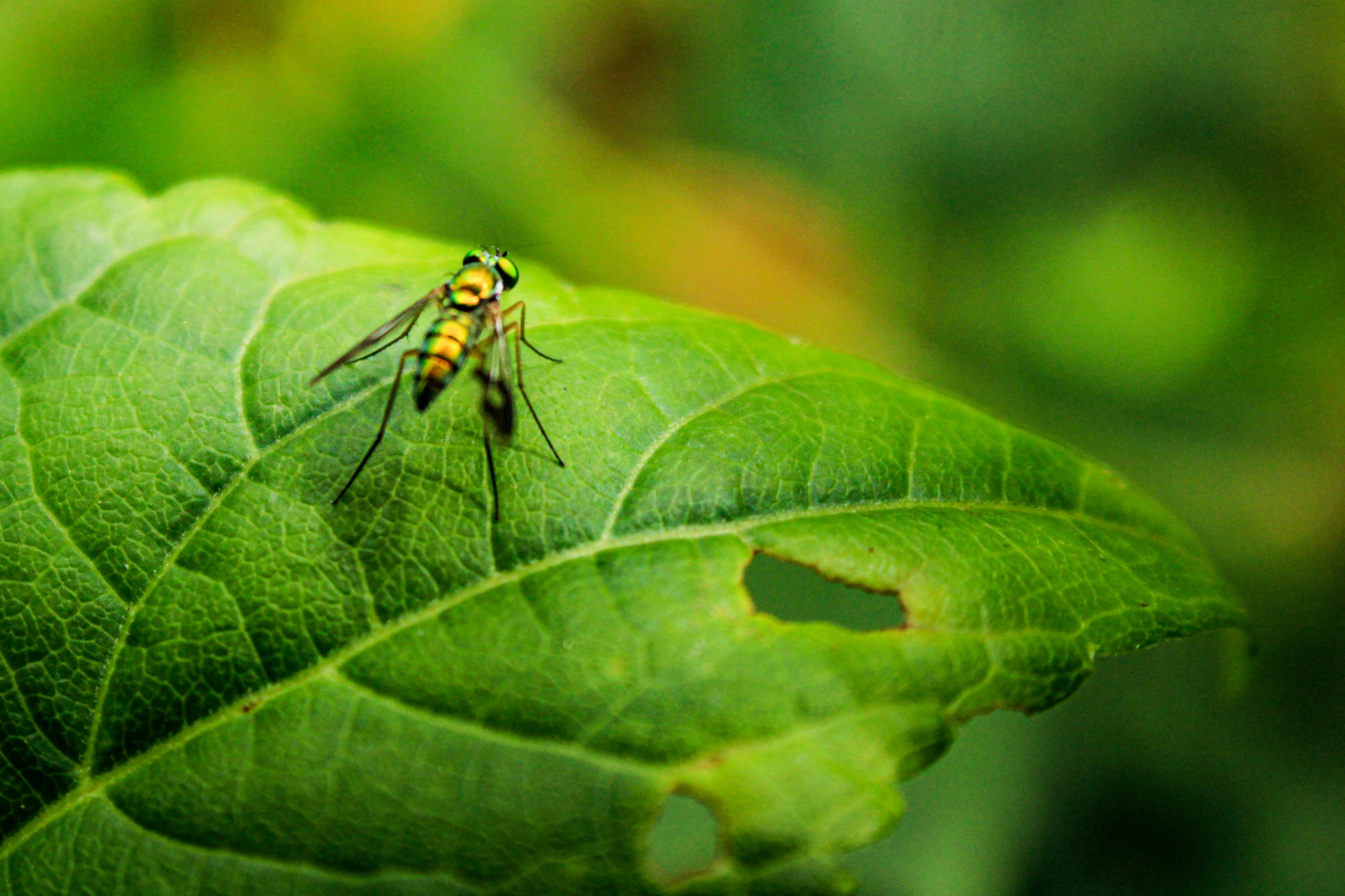 Photo by ashlynnephotos