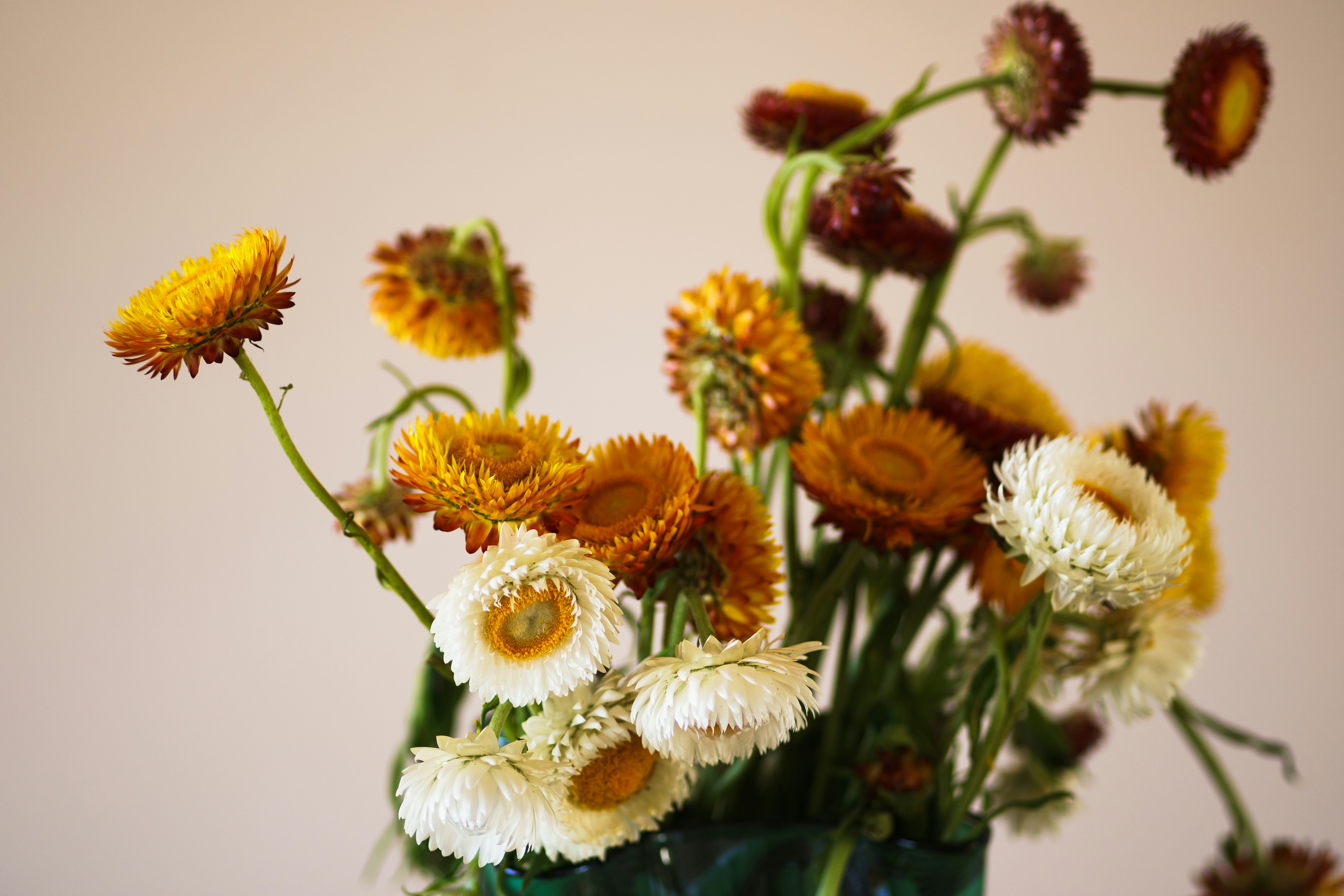 a vase of yellow and red flowers