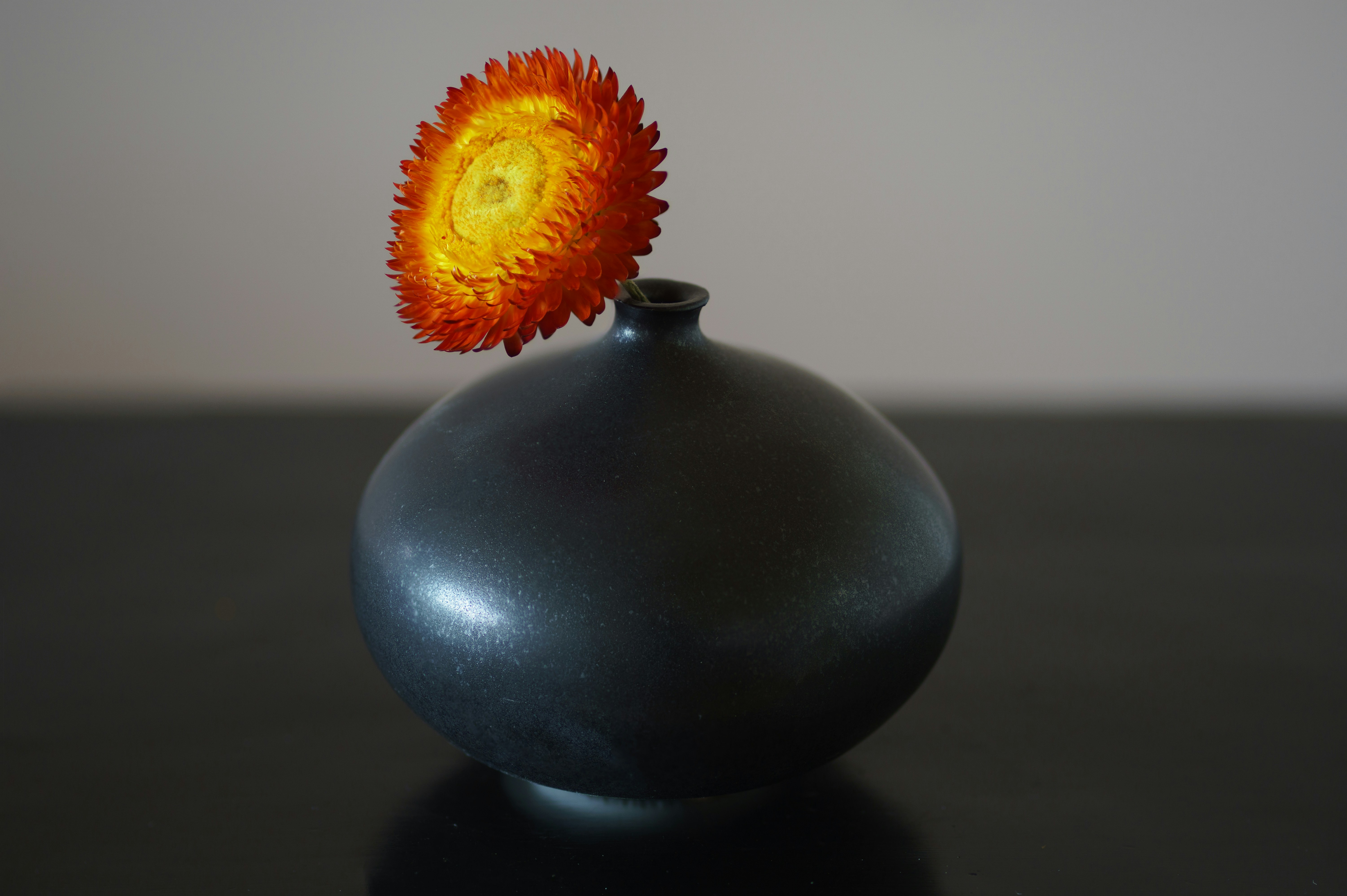 a black vase with a yellow flower