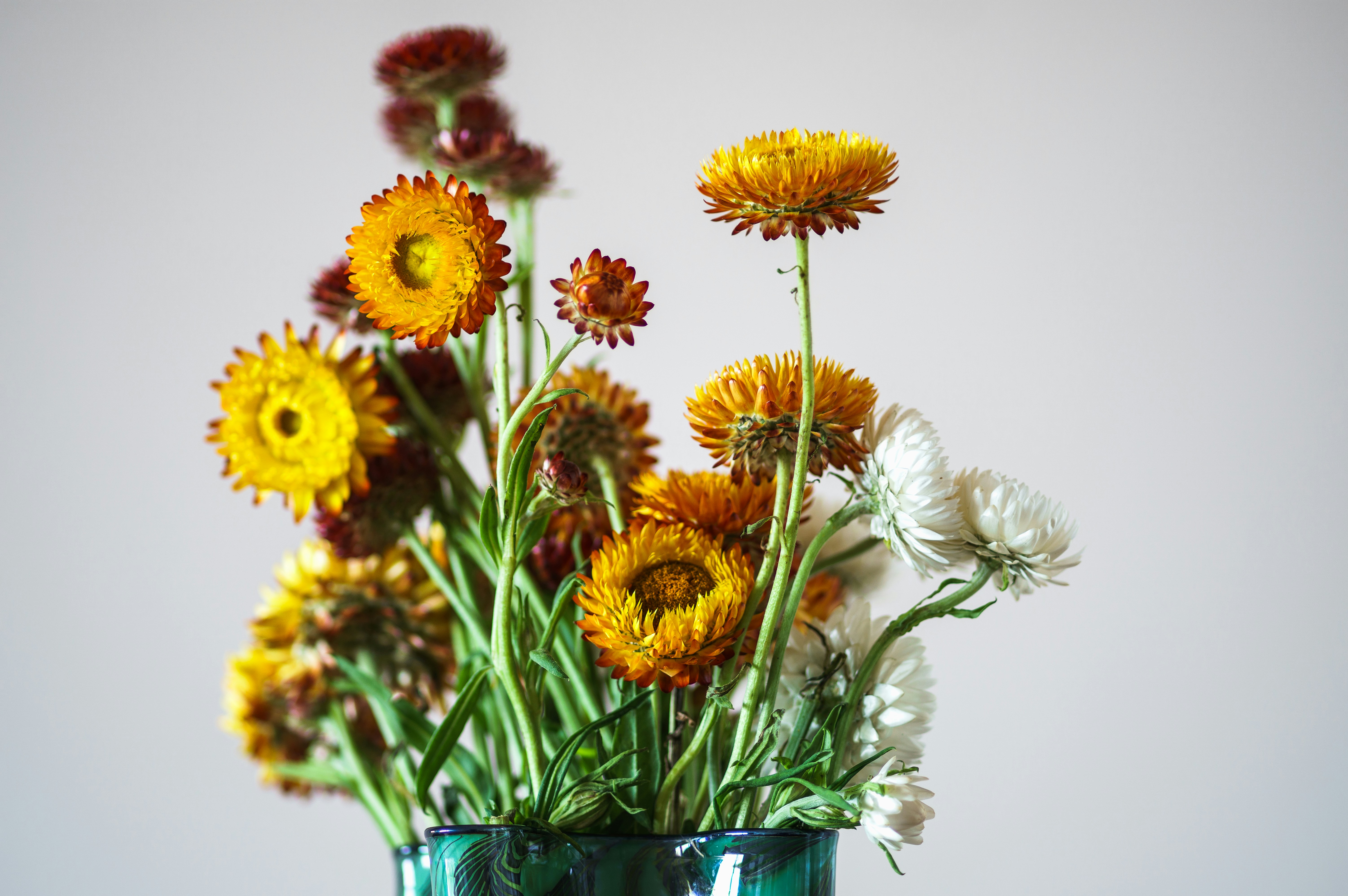 a vase with yellow flowers