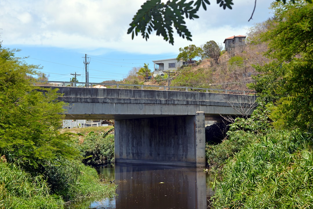 a bridge over a river, The old concrete framework of an incomplete bridge crosses over murky water.