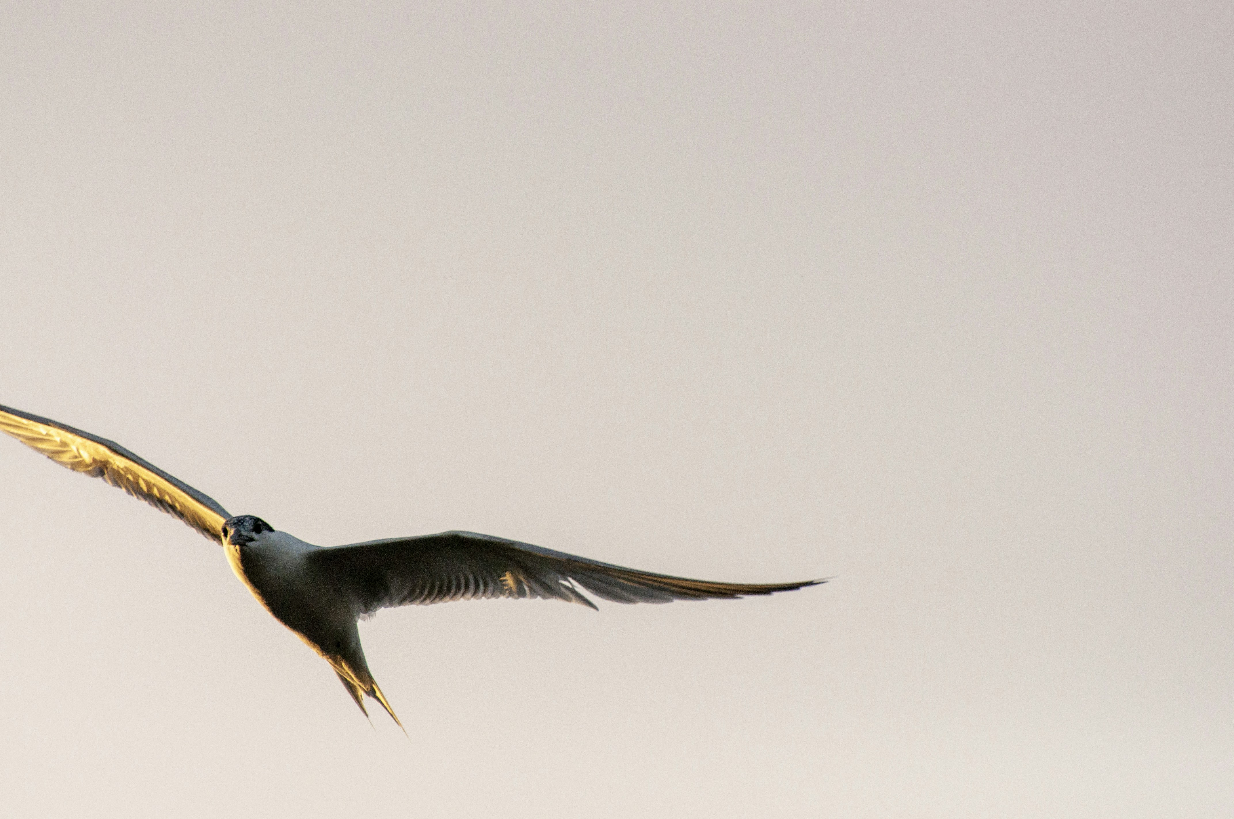 Photo by climatechangevi