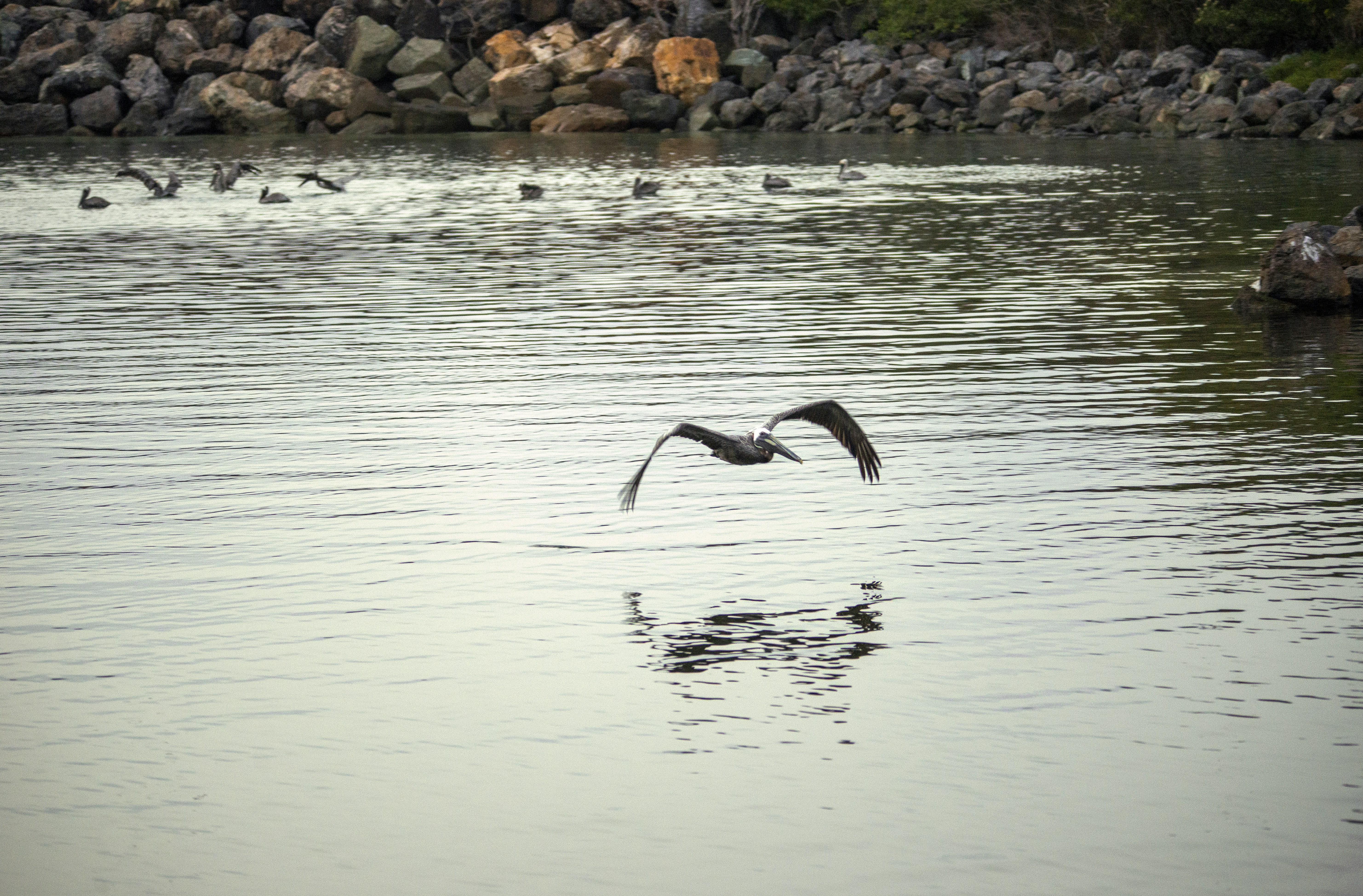 Photo by climatechangevi