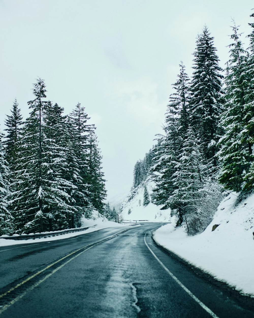 a road with snow on the side