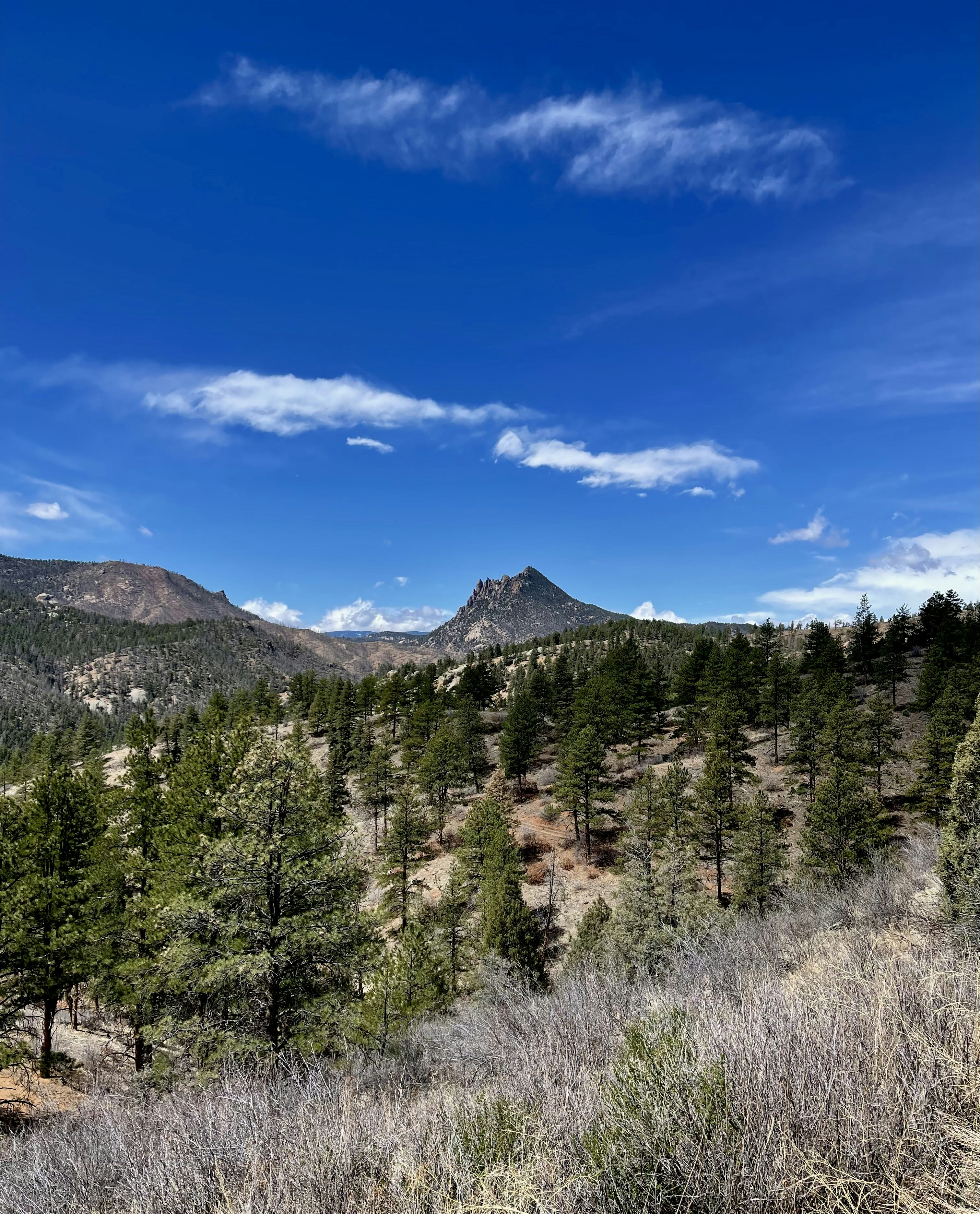 Photo by laitonbarbo