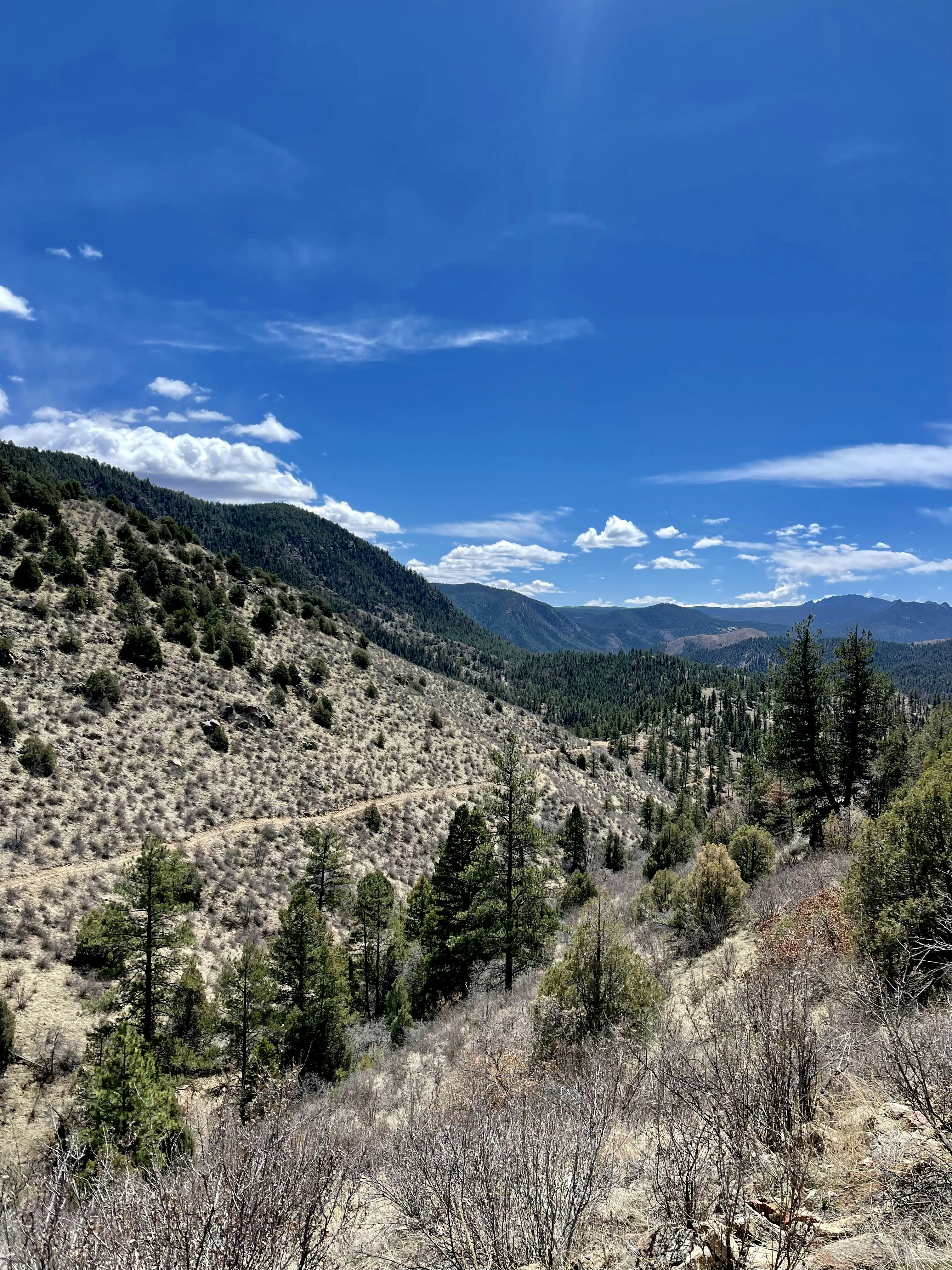 Photo by laitonbarbo