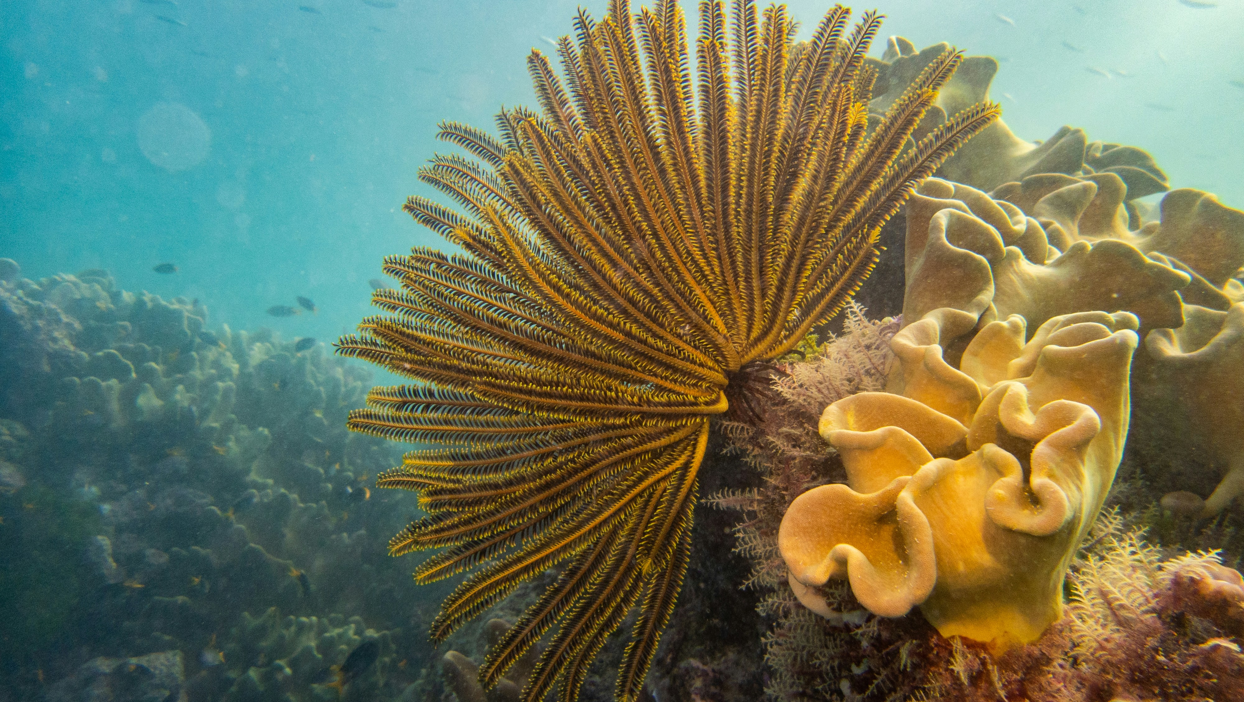 Photo by _bubble_maker