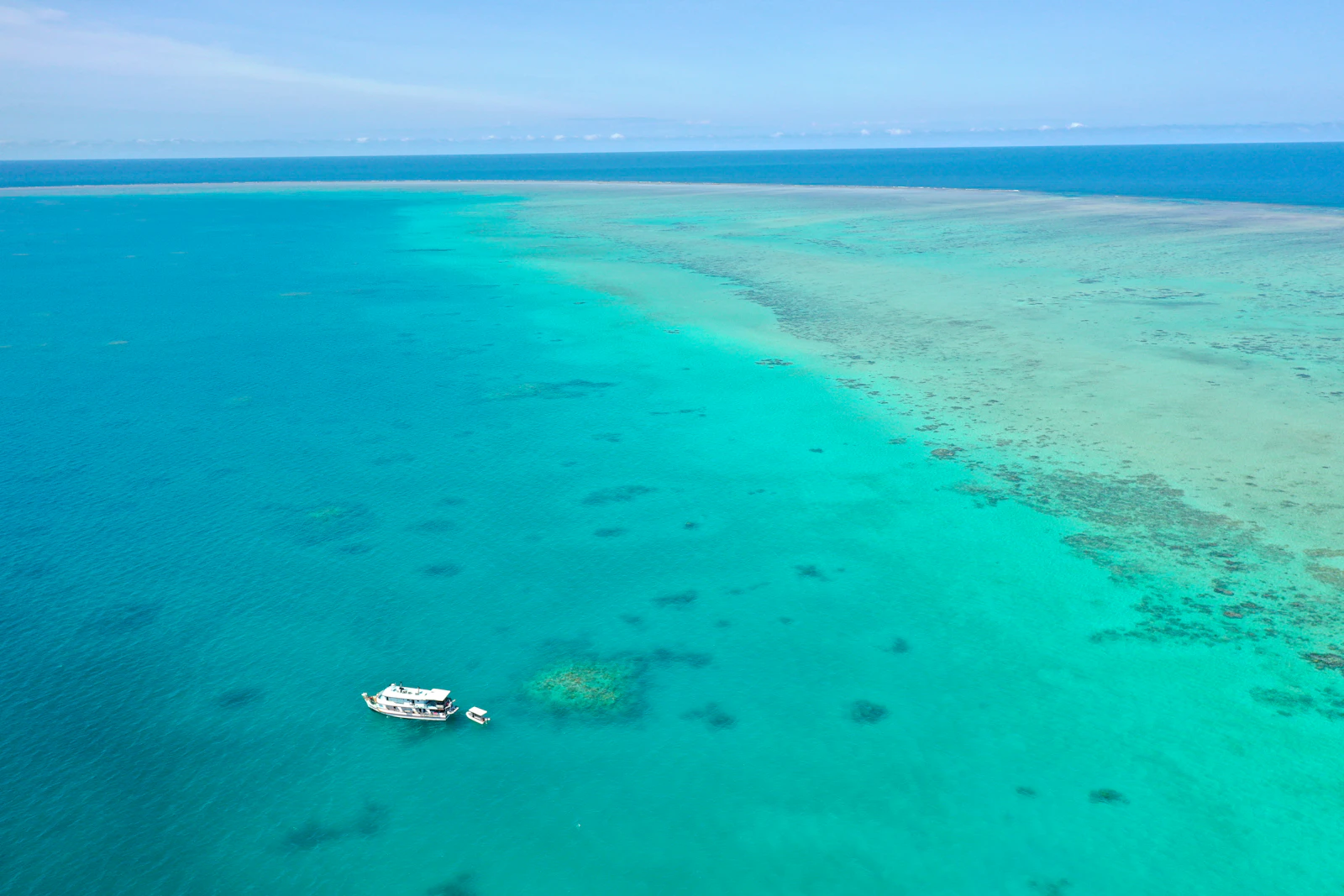 Aerial view of coral and turquoise water on the Great Barrier Reef