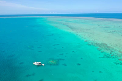 Aerial view of coral and turquoise water on the Great Barrier Reef