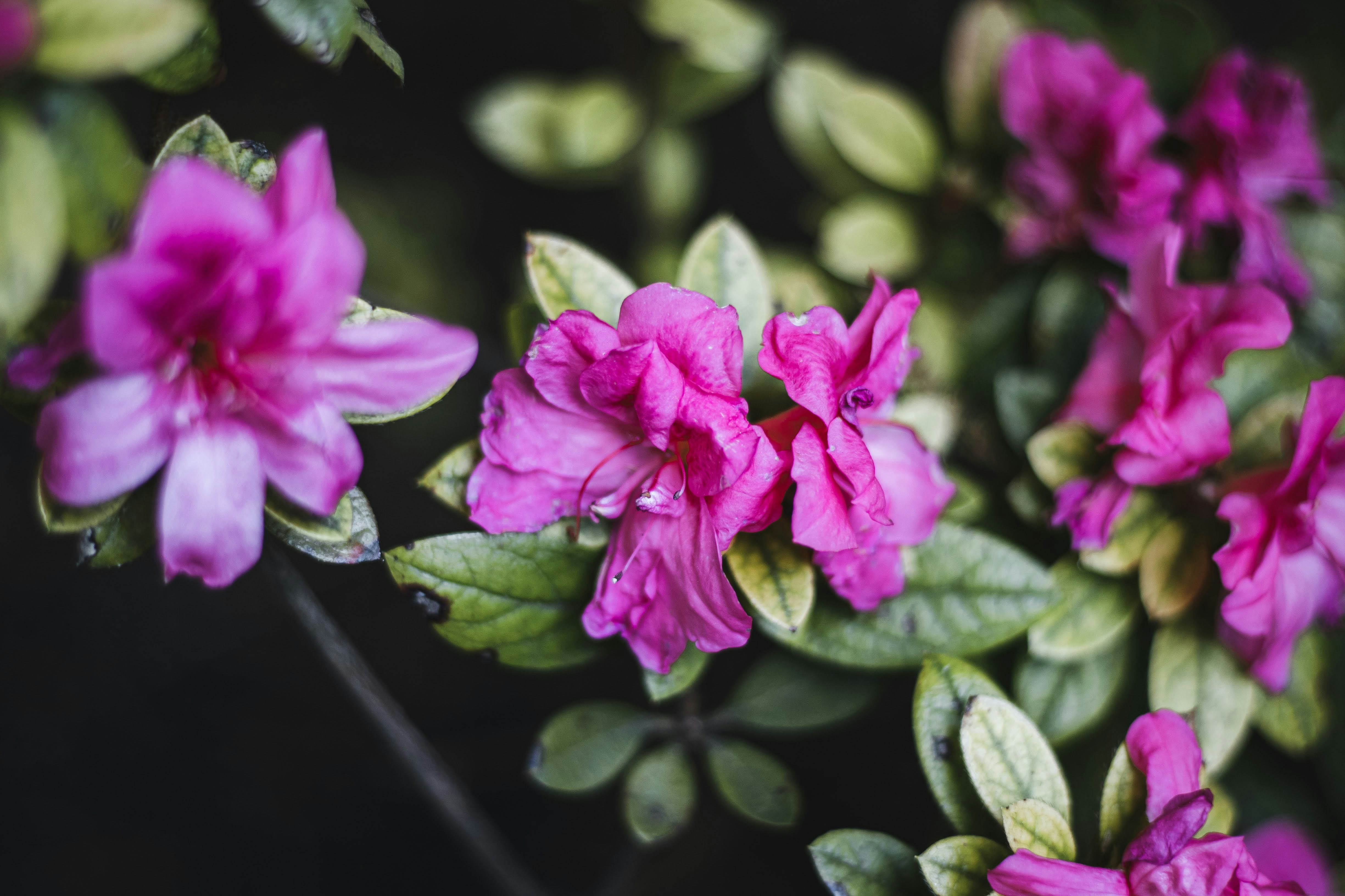 Photo by brice_cooper18