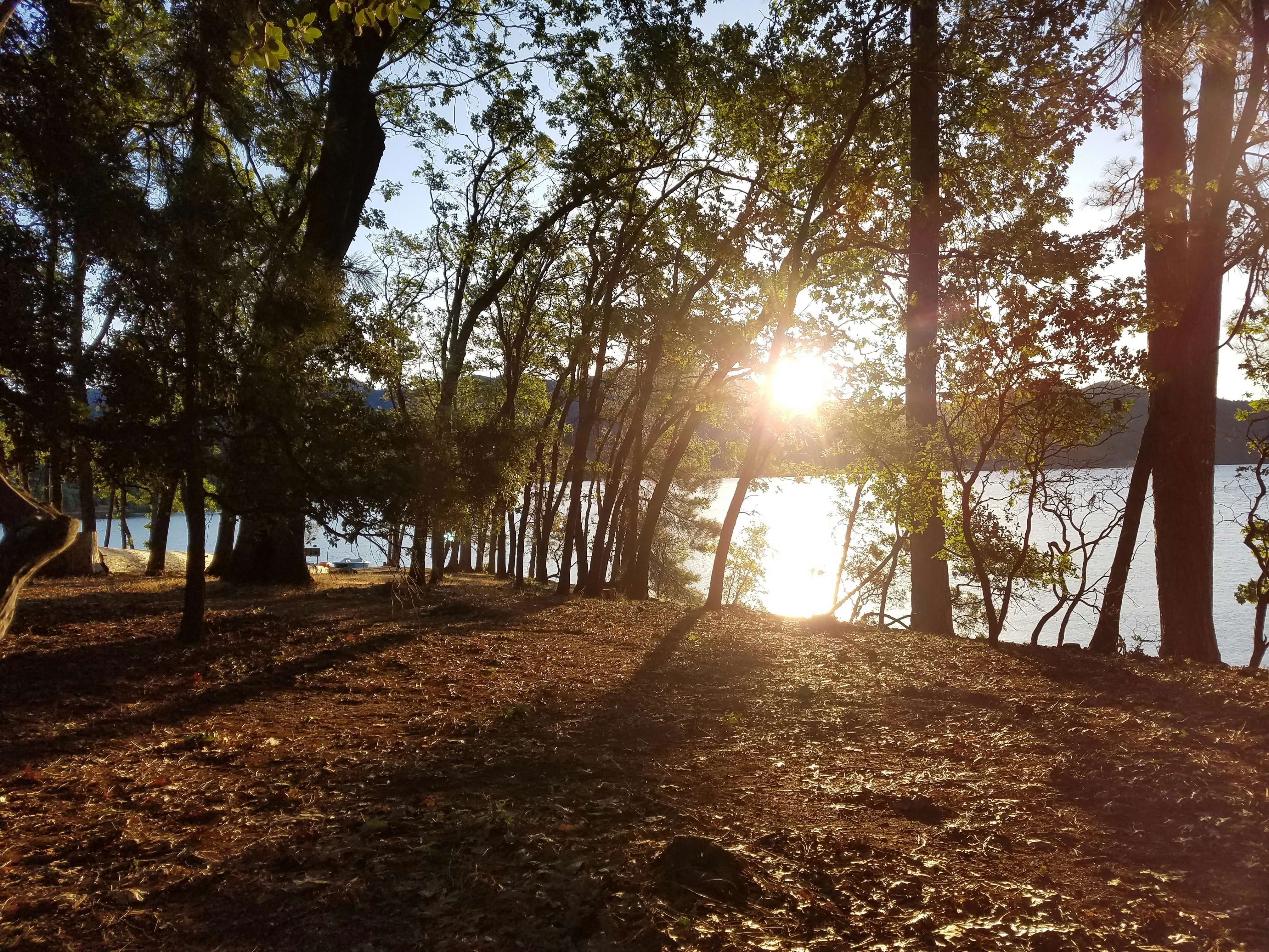 Photo by yharrison1108