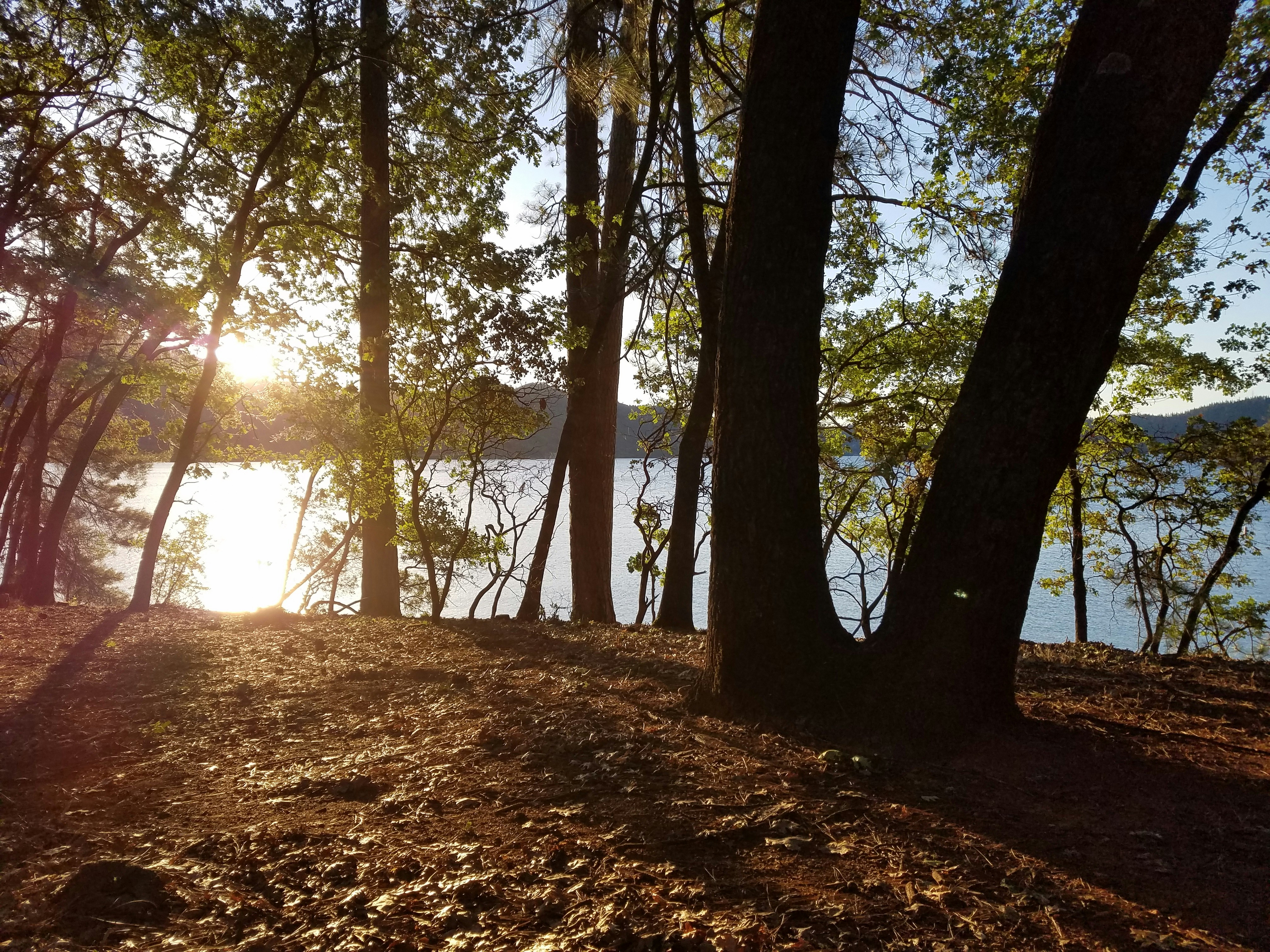 Photo by yharrison1108