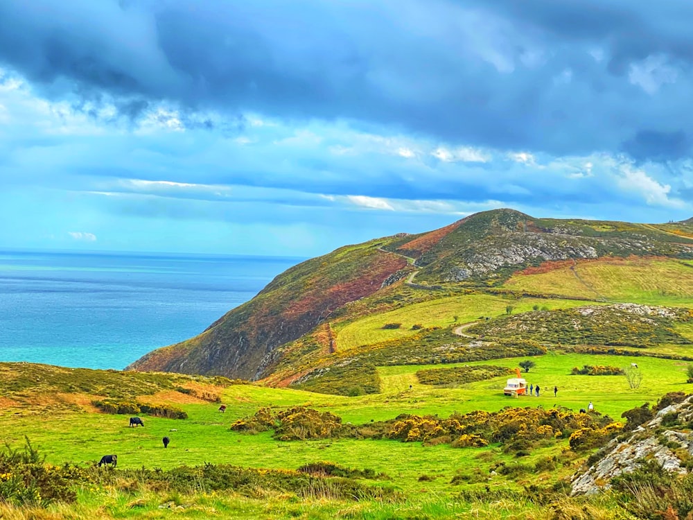 a grassy hill with a body of water in the background