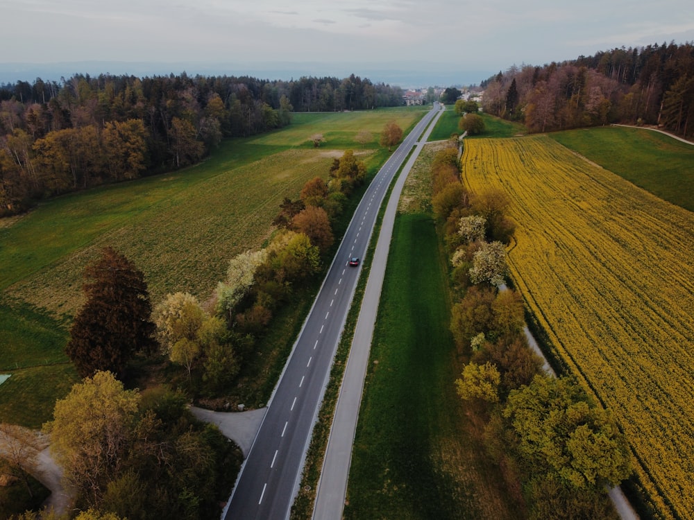 a road with grass and trees on the side