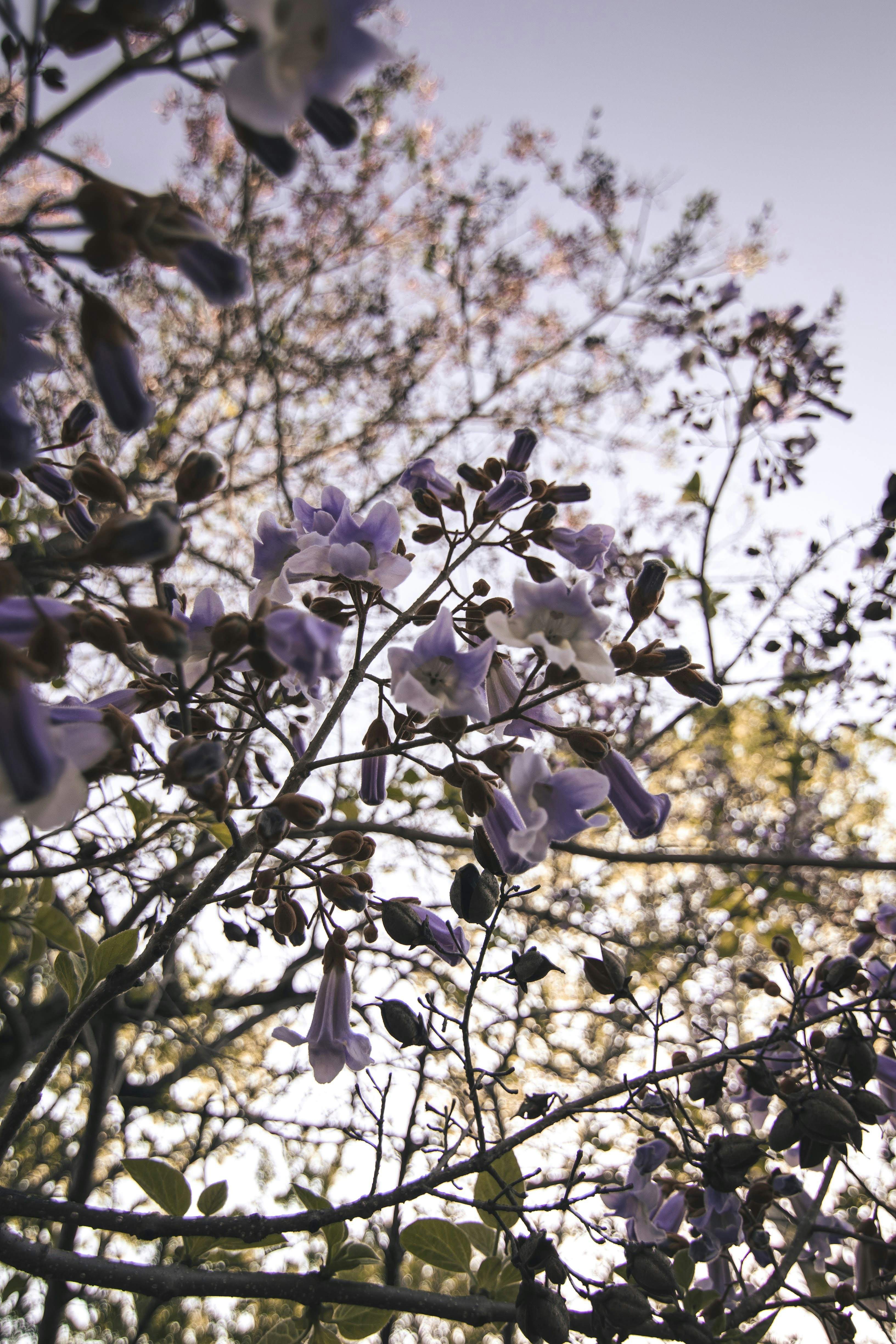 Photo by brice_cooper18