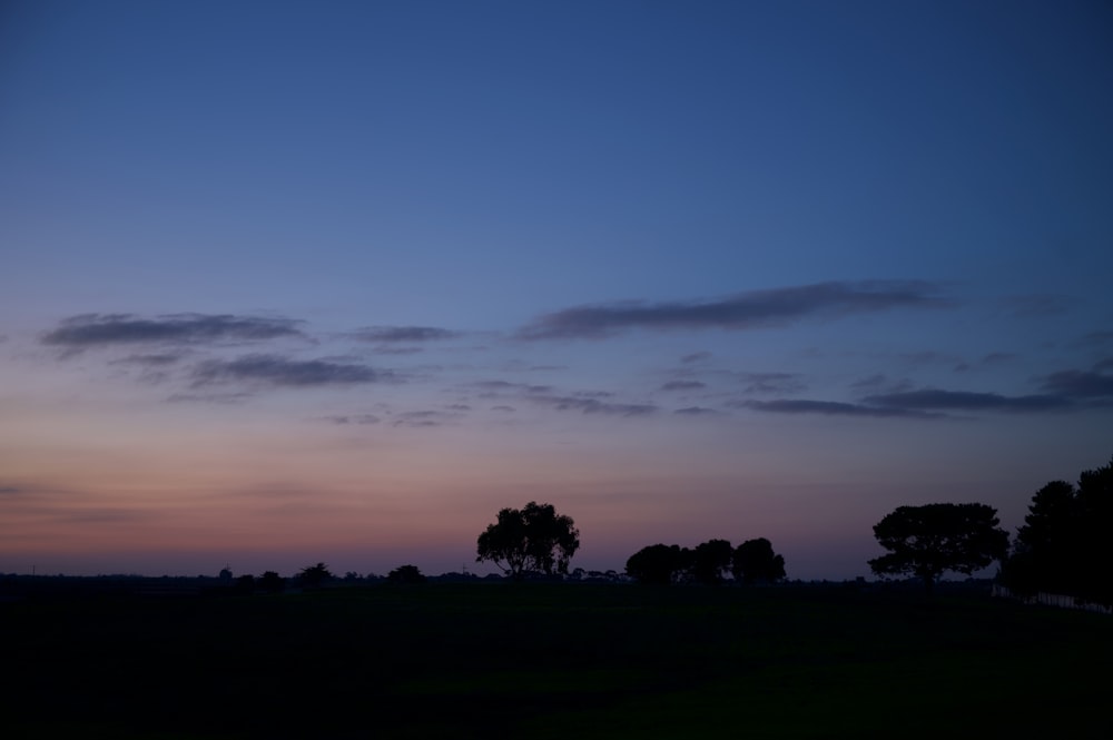 a field with trees in it