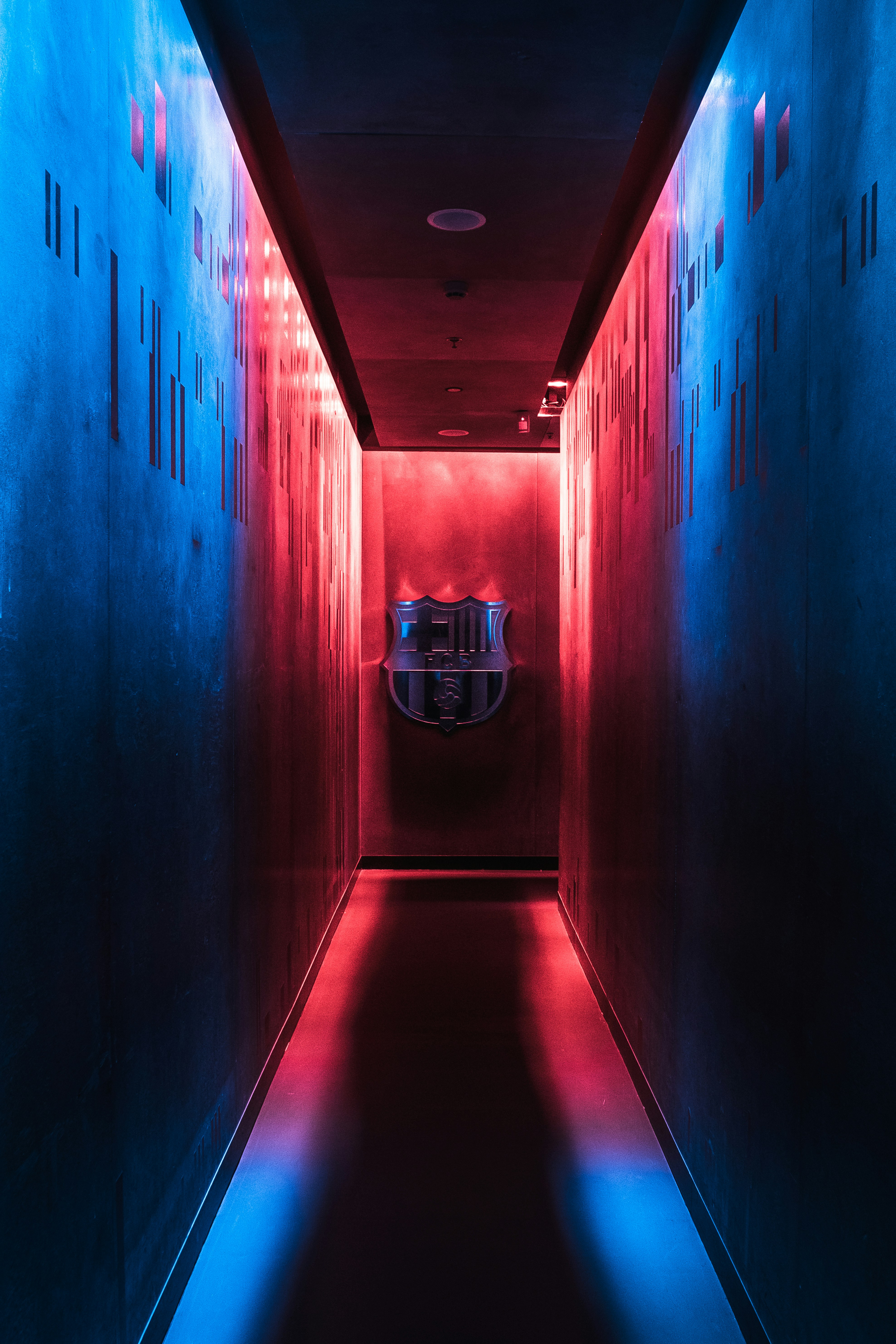 Photo by leonardomoreirass