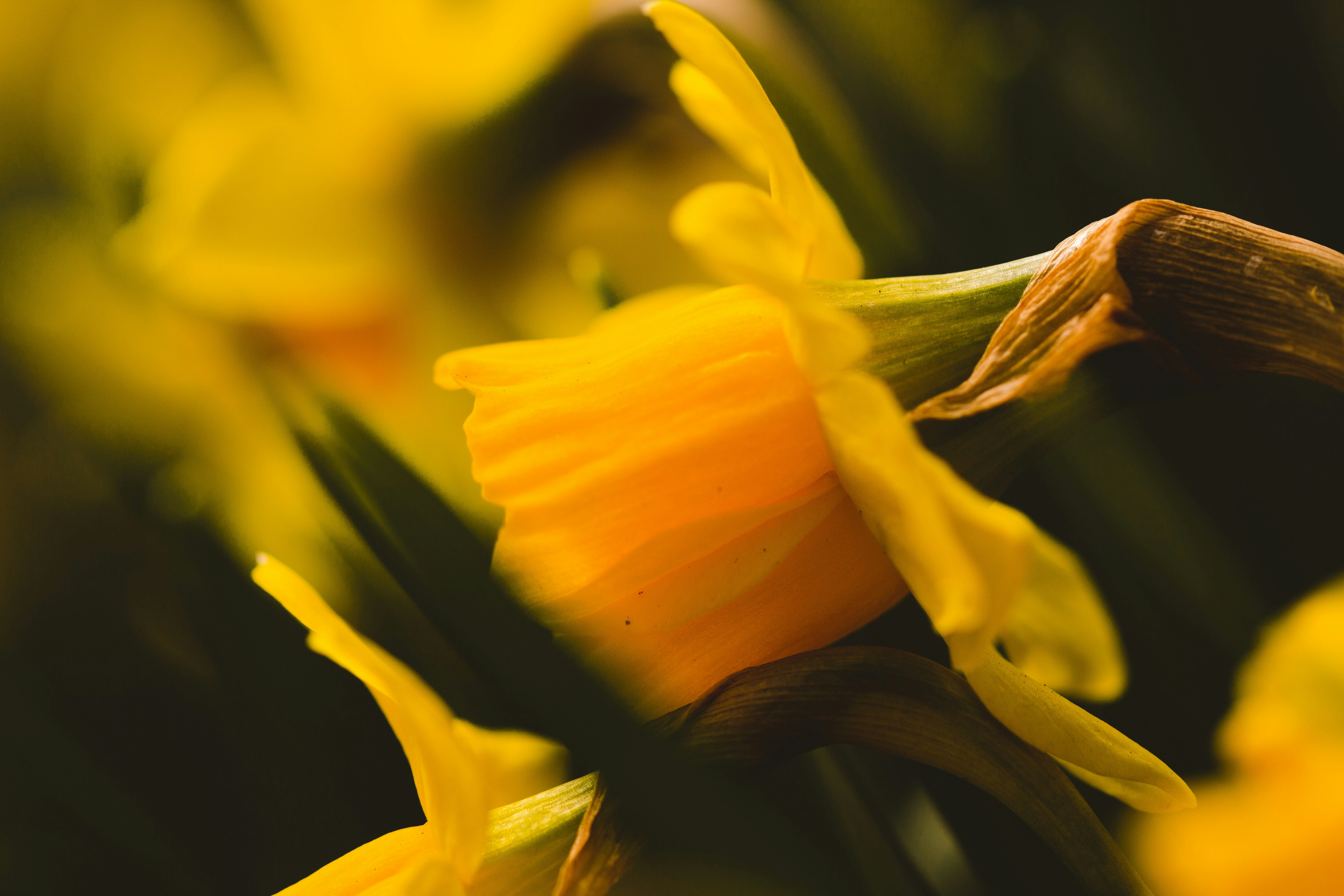 Photo by emmanuelphaeton