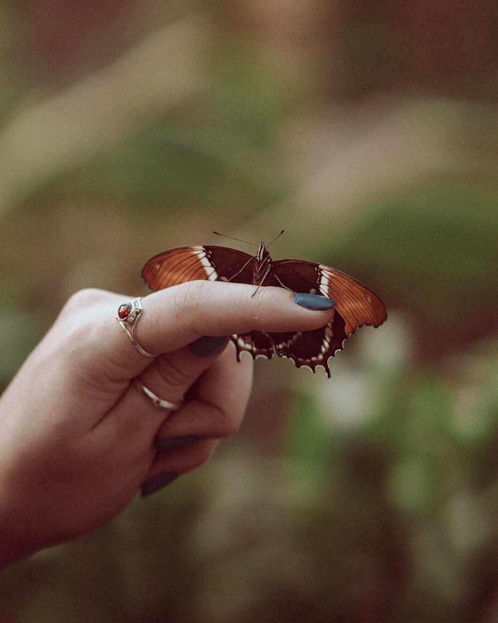 a person holding a butterfly