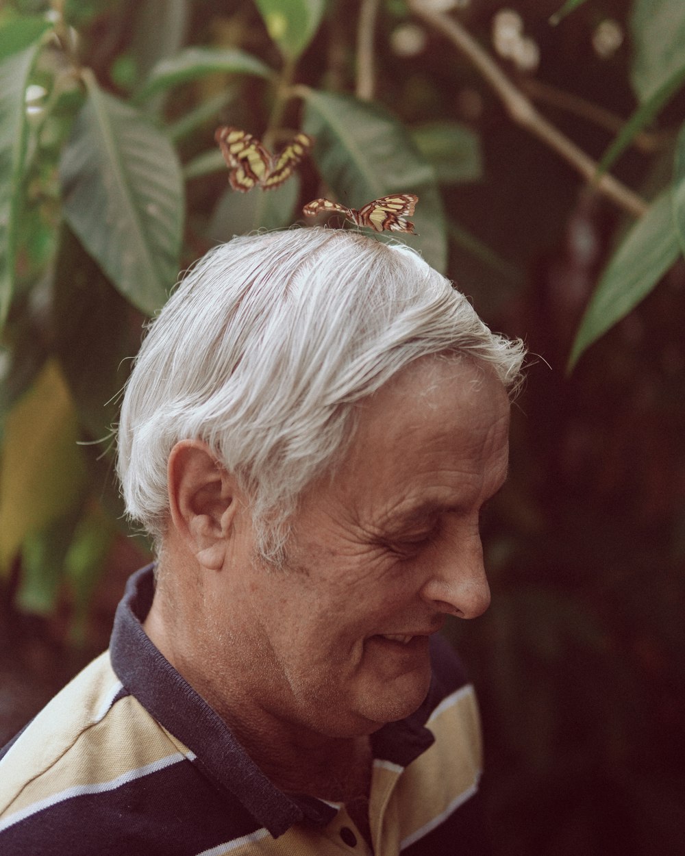 a man with a butterfly on his head