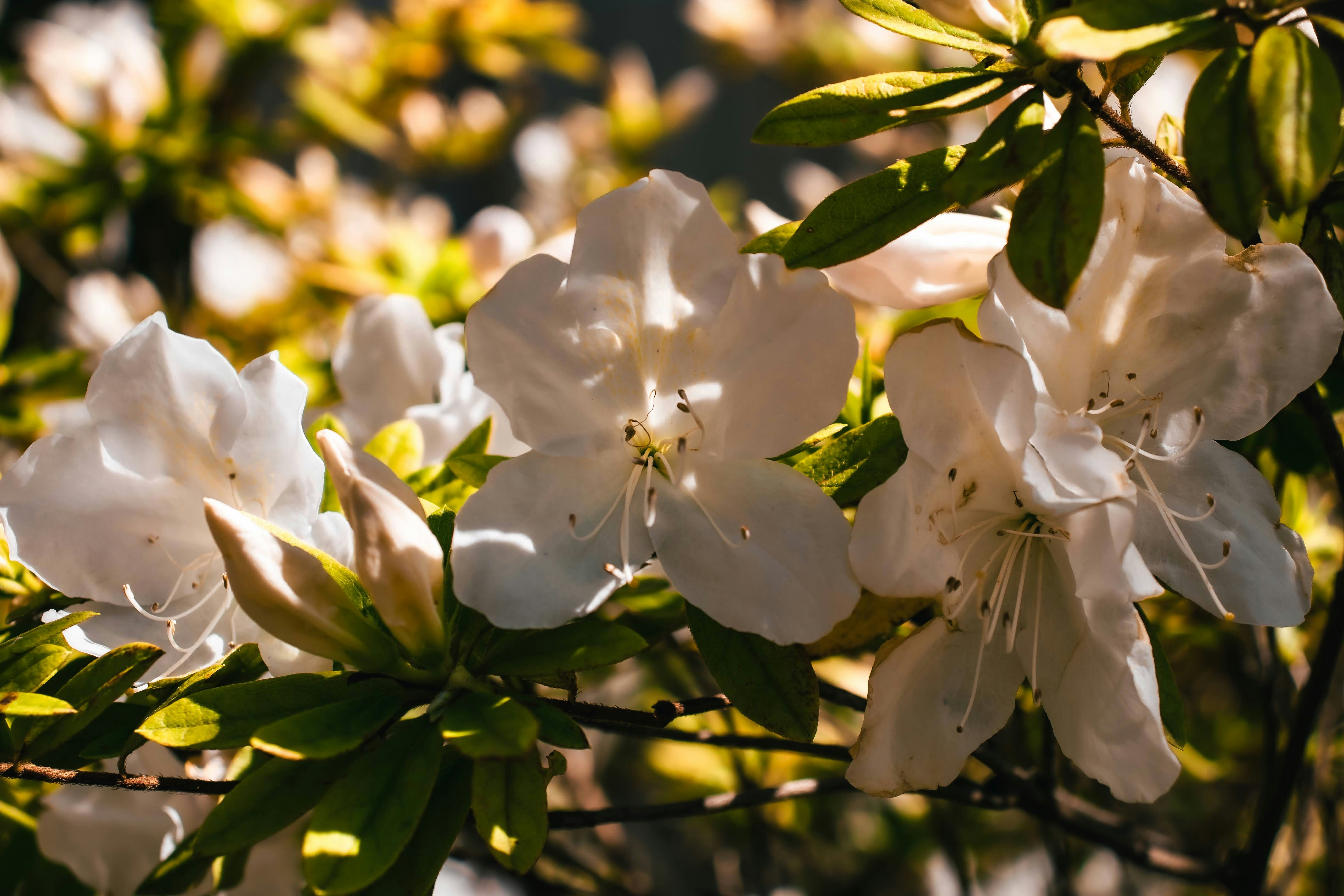 Photo by brice_cooper18