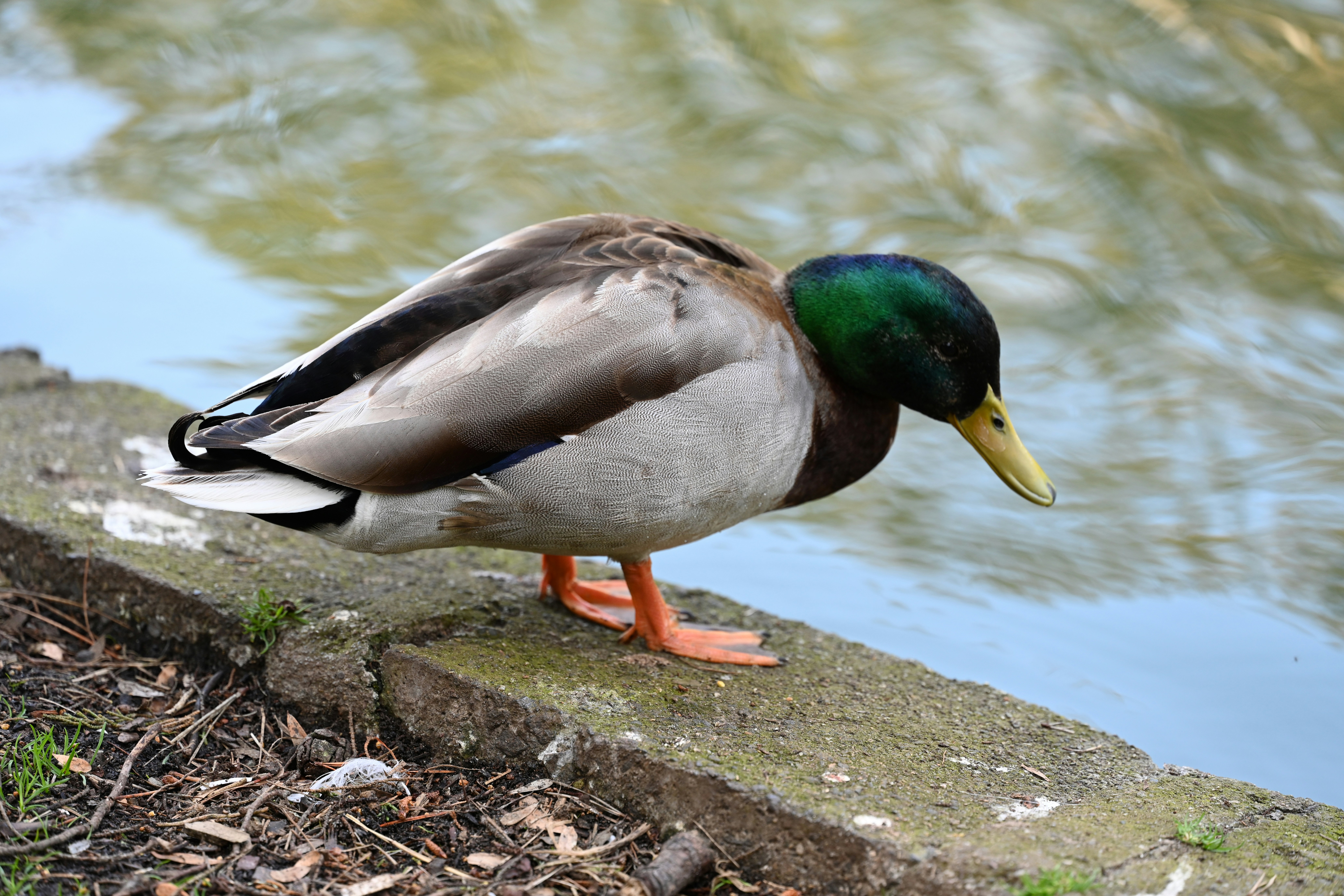 Photo by theunknownaldiaz