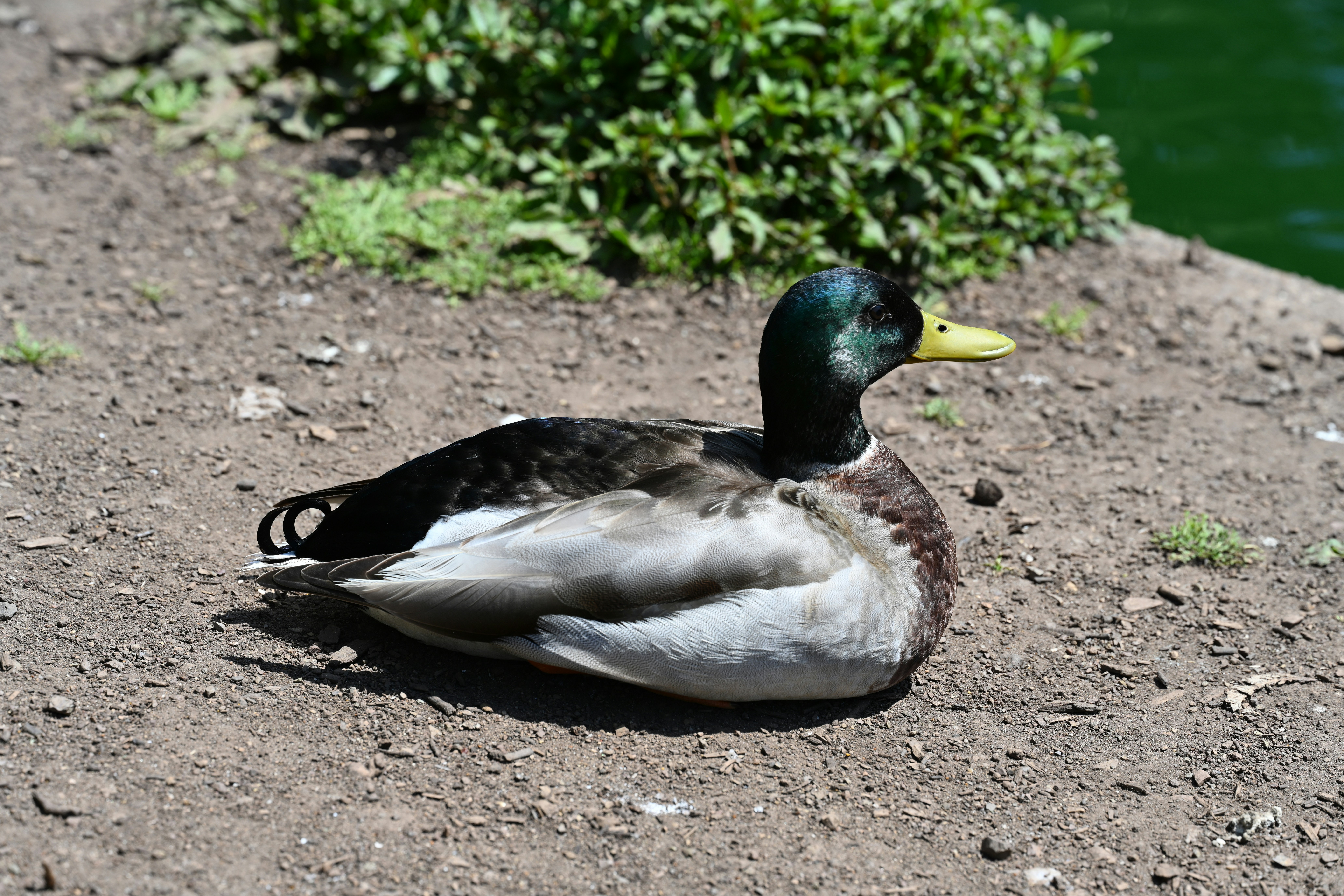 Photo by theunknownaldiaz